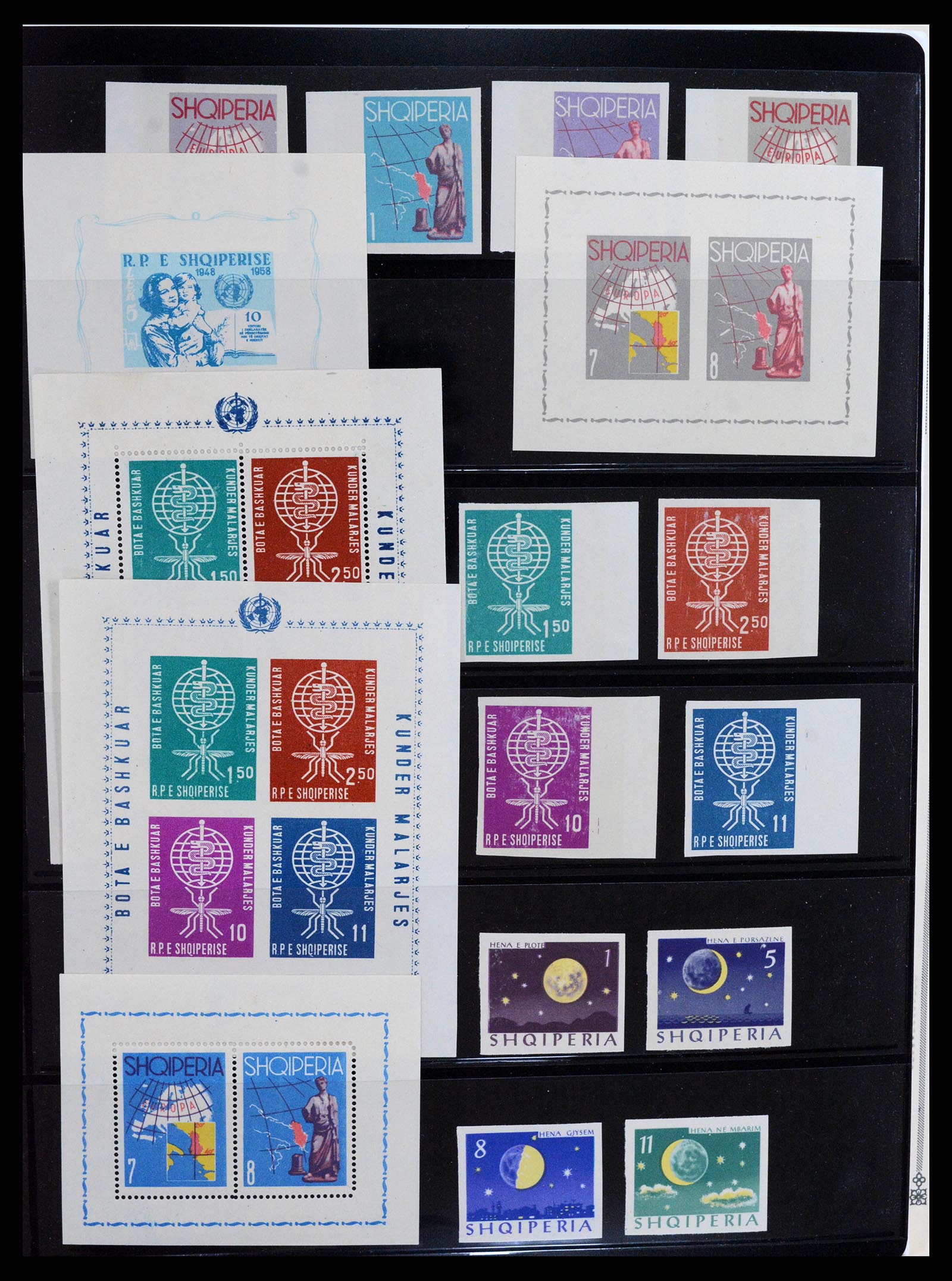 37705 0003 - Postzegelverzameling 37705 Oost Europa 1855-2010.