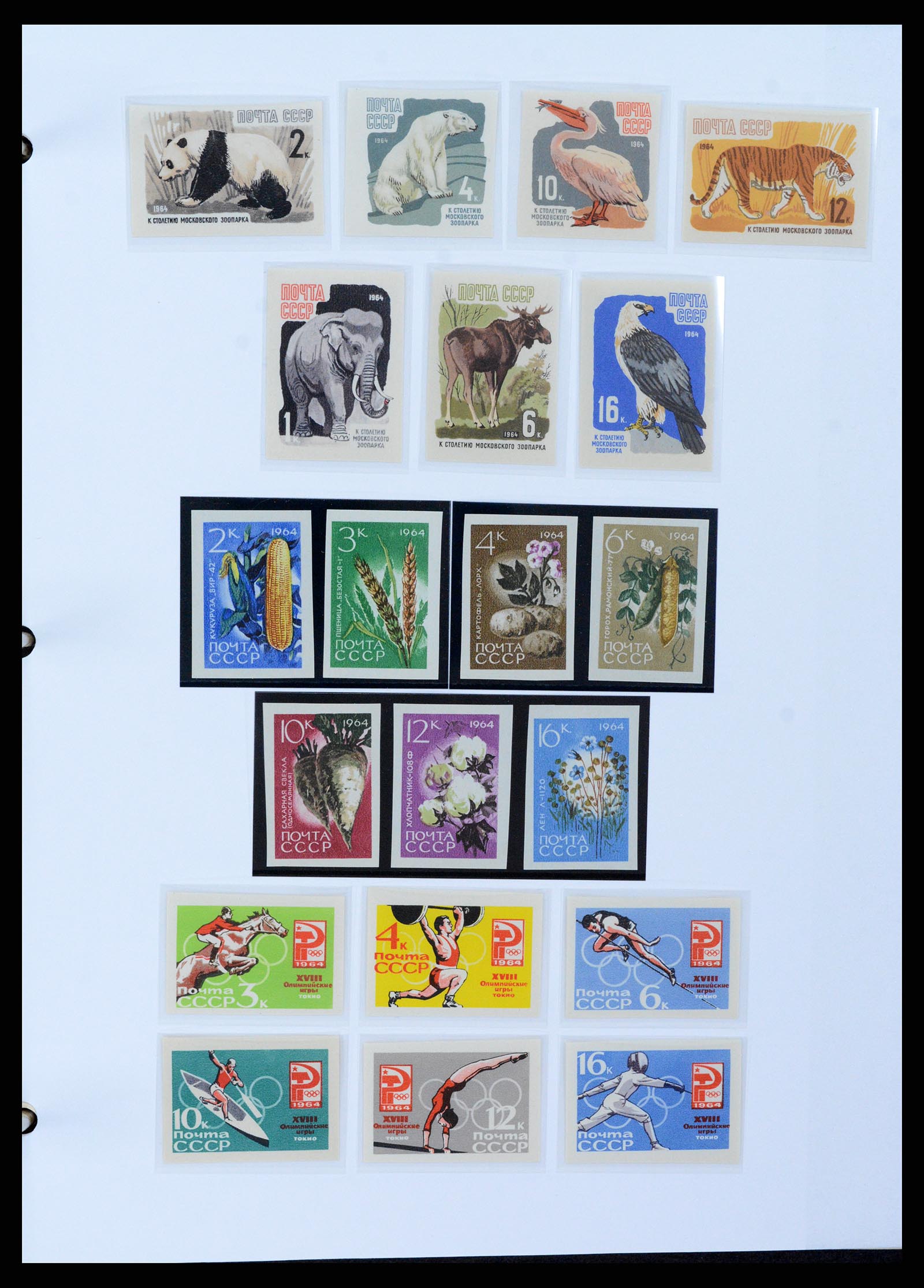 37705 1708 - Postzegelverzameling 37705 Oost Europa 1855-2010.