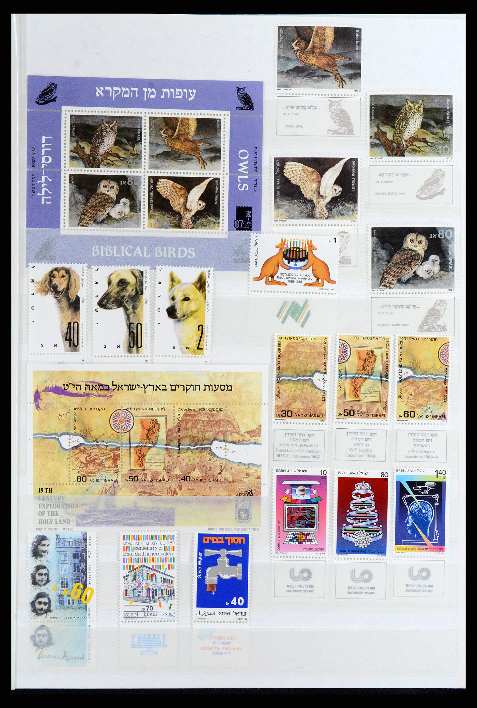 37709 062 - Postzegelverzameling 37709 Israël 1948-2020!!!