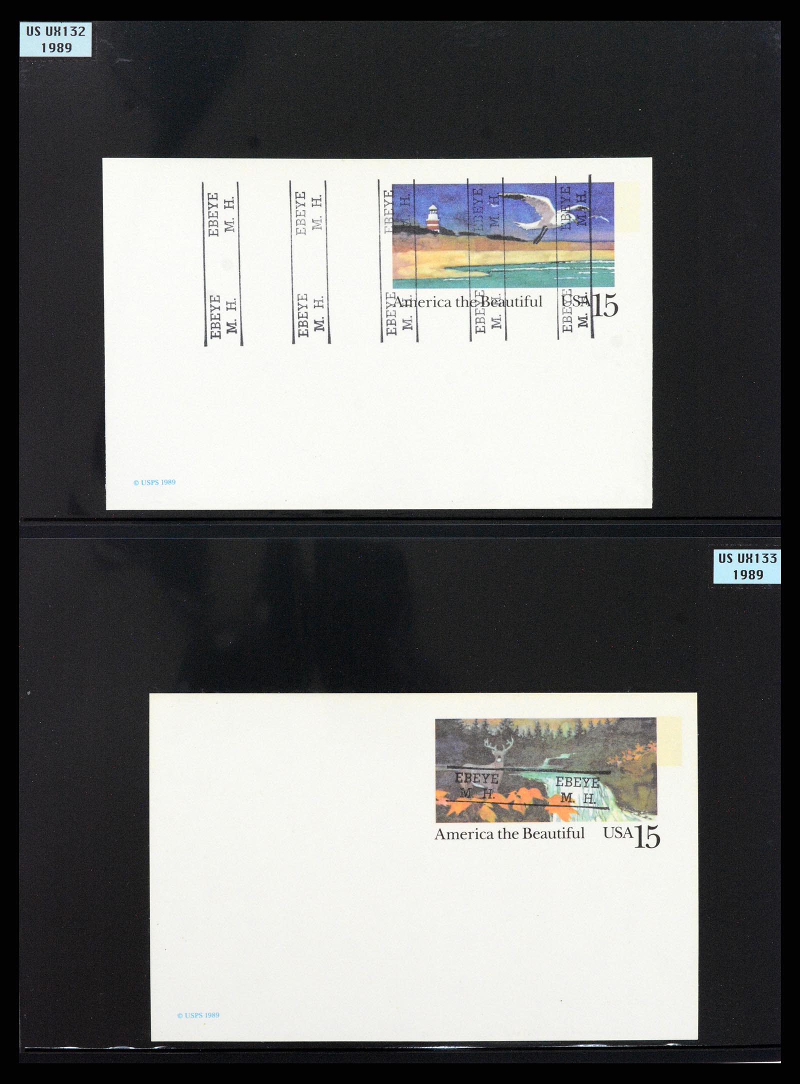 37736 020 - Postzegelverzameling 37736 USA gebieden pre-cancels 1959-1995.
