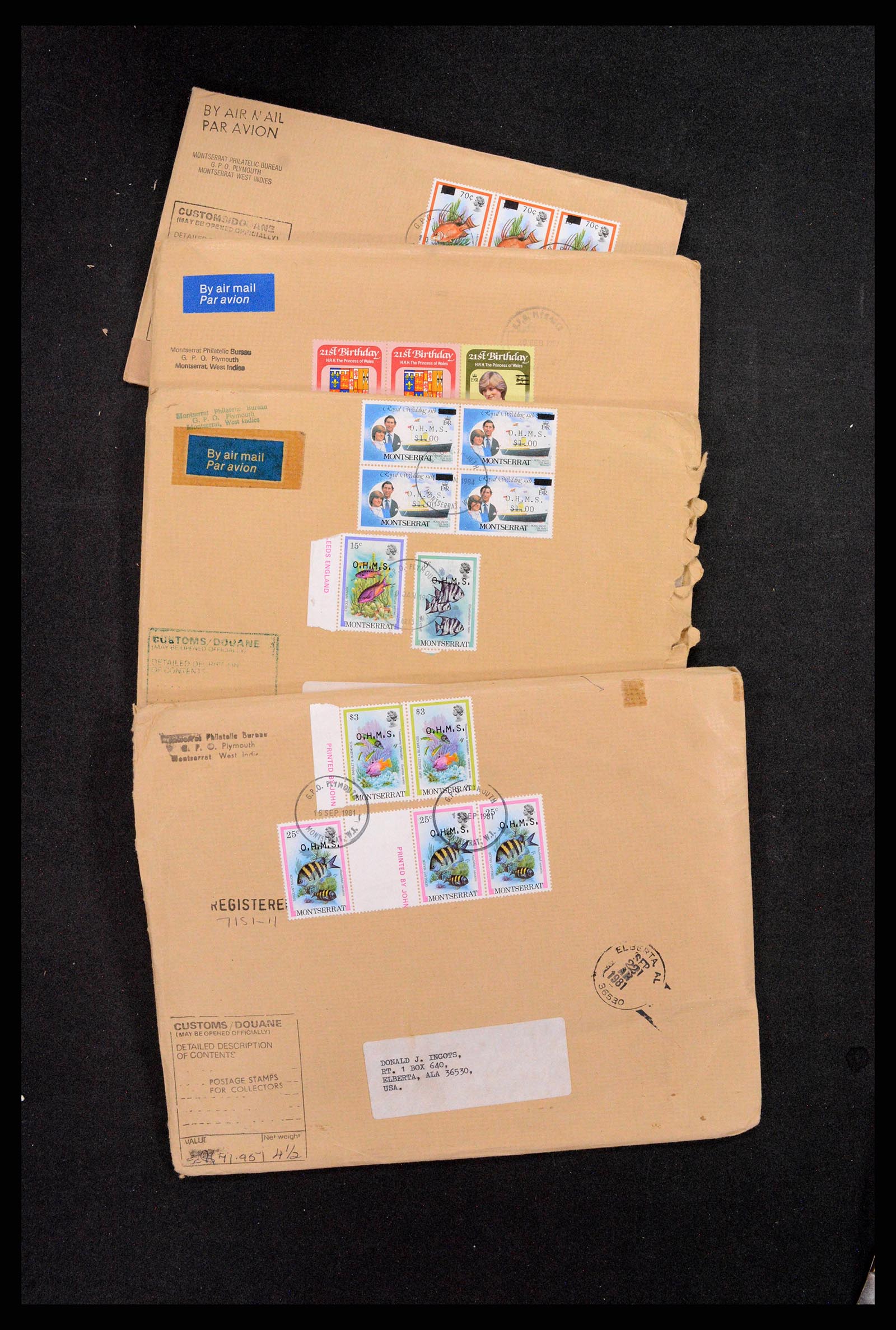 37744 2446 - Stamp collection 37744 British Commonwealth 1900-2010.