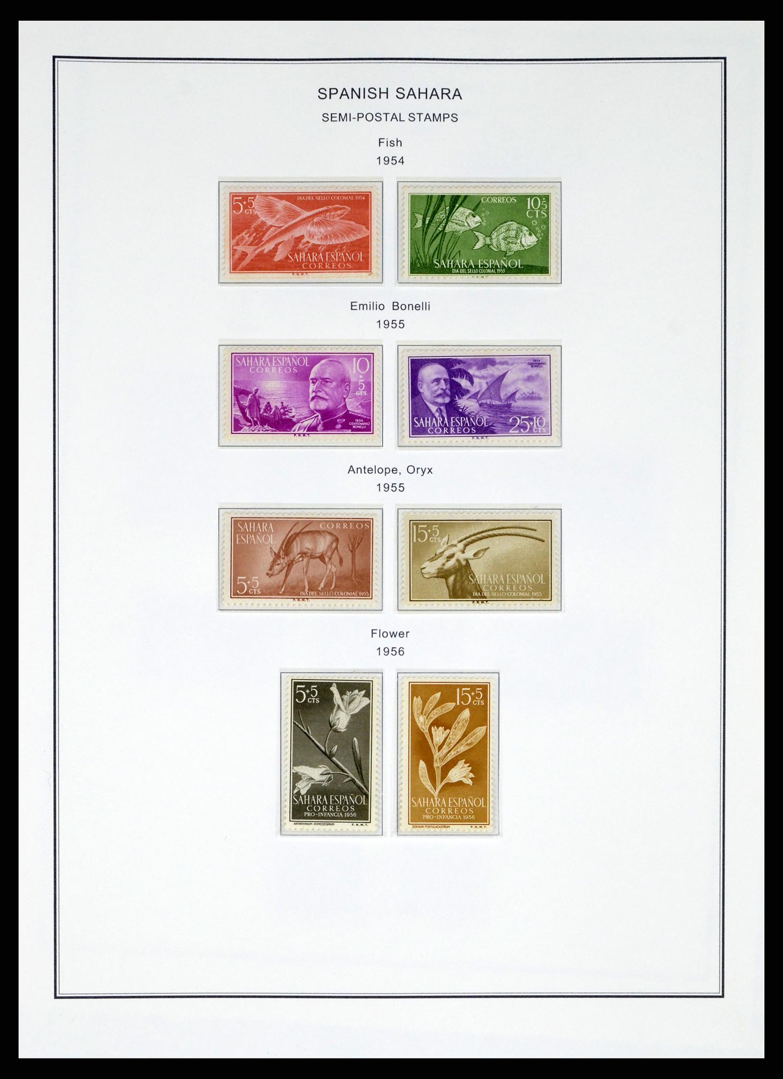 37749 464 - Postzegelverzameling 37749 Spanje en koloniën 1856-1997.