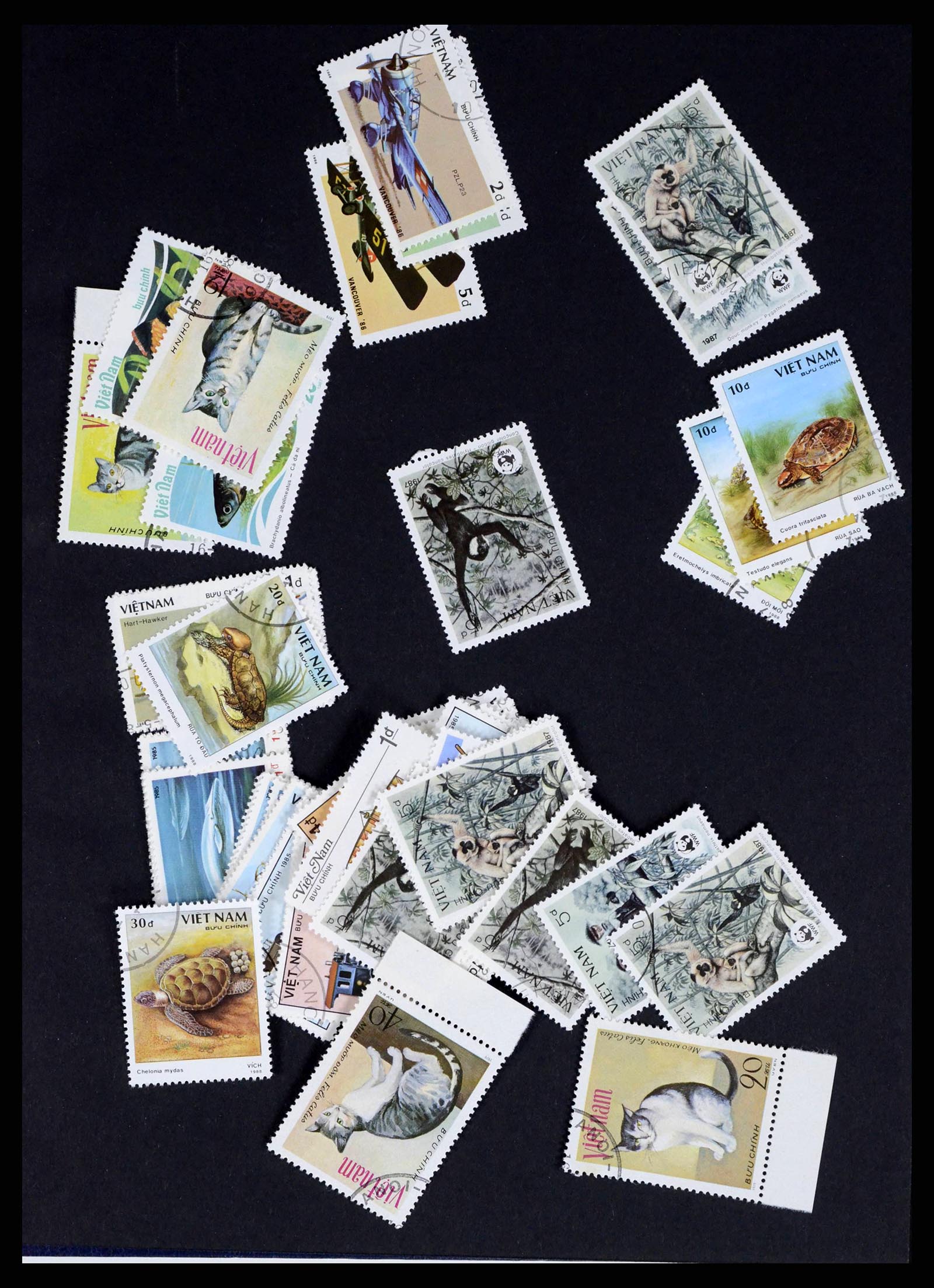 37760 0043 - Postzegelverzameling 37760 Azië 1887-2011
