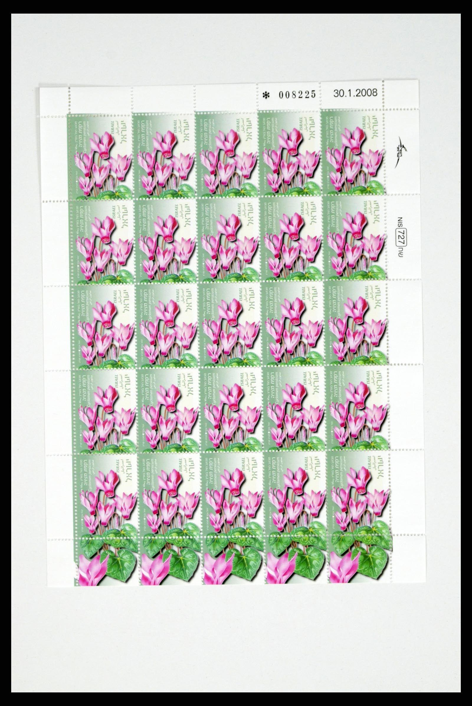 37779 089 - Postzegelverzameling 37779 Israël velletjes 1986-2009.