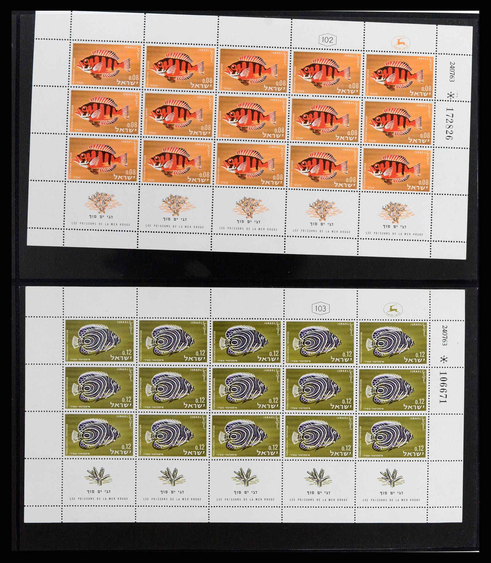 37781 072 - Postzegelverzameling 37781 Israël 1948-2017!!