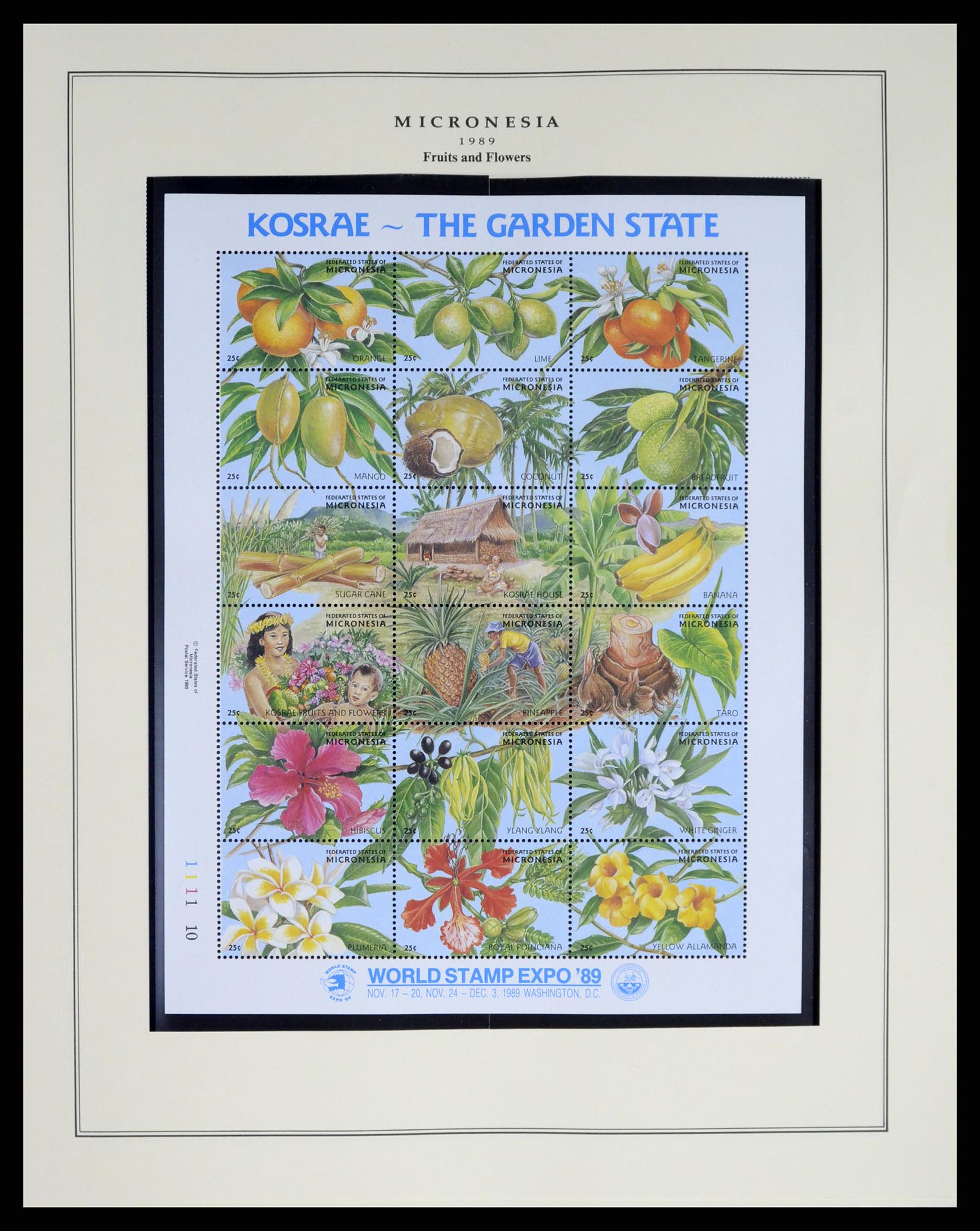 37812 012 - Postzegelverzameling 37812 Micronesië 1980-2005.