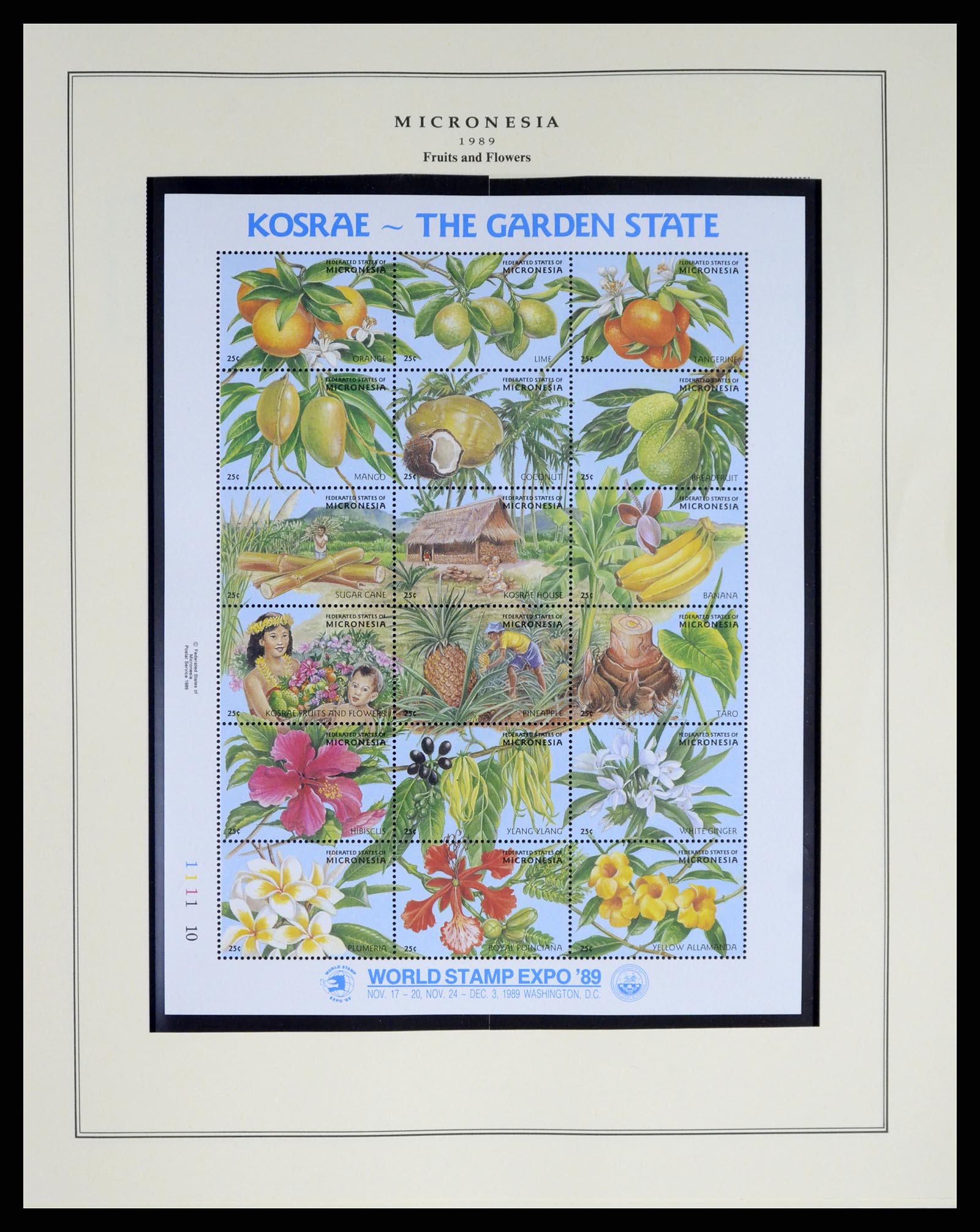 37812 012 - Stamp Collection 37812 Micronesia 1980-2005.