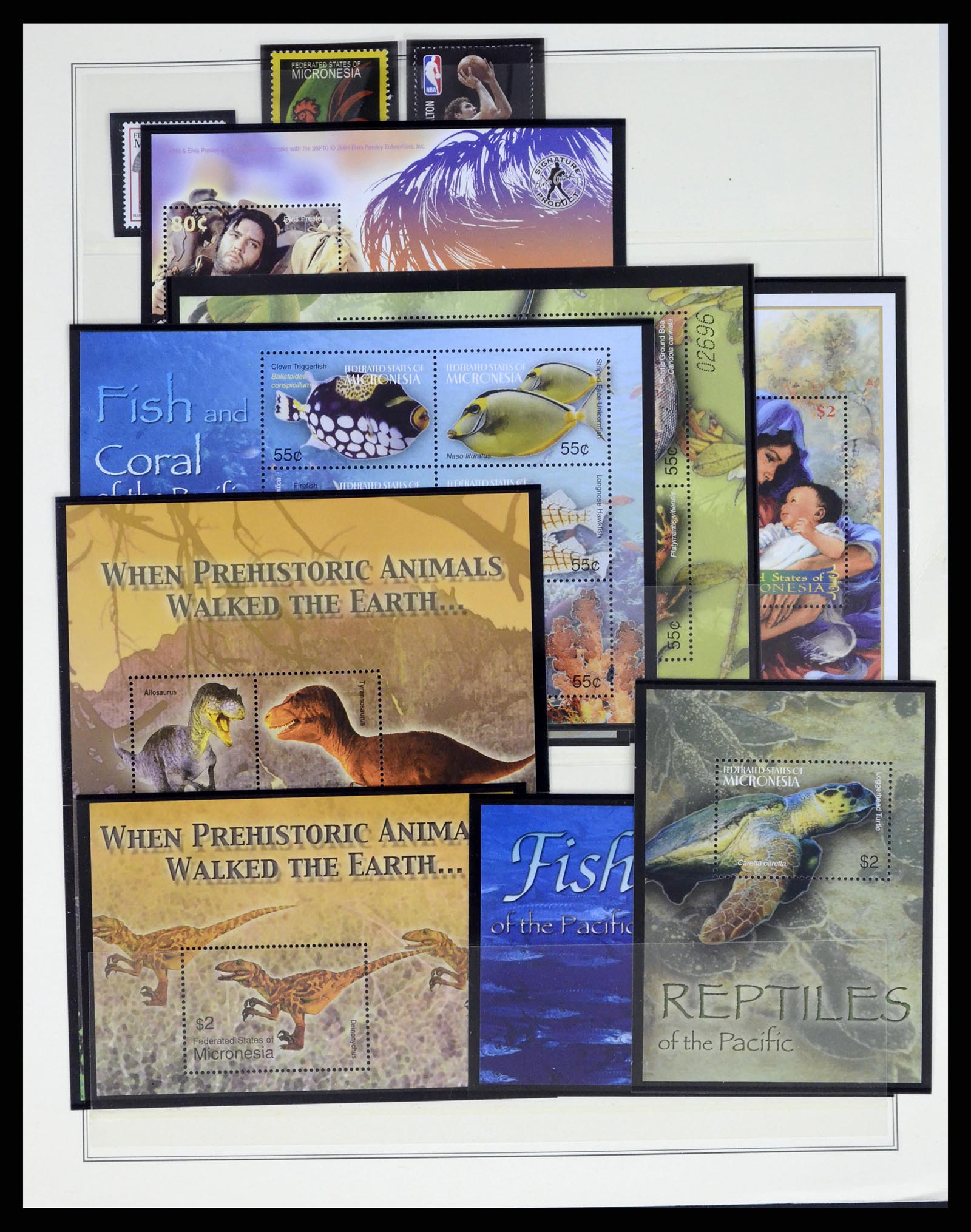 37812 222 - Postzegelverzameling 37812 Micronesië 1980-2005.