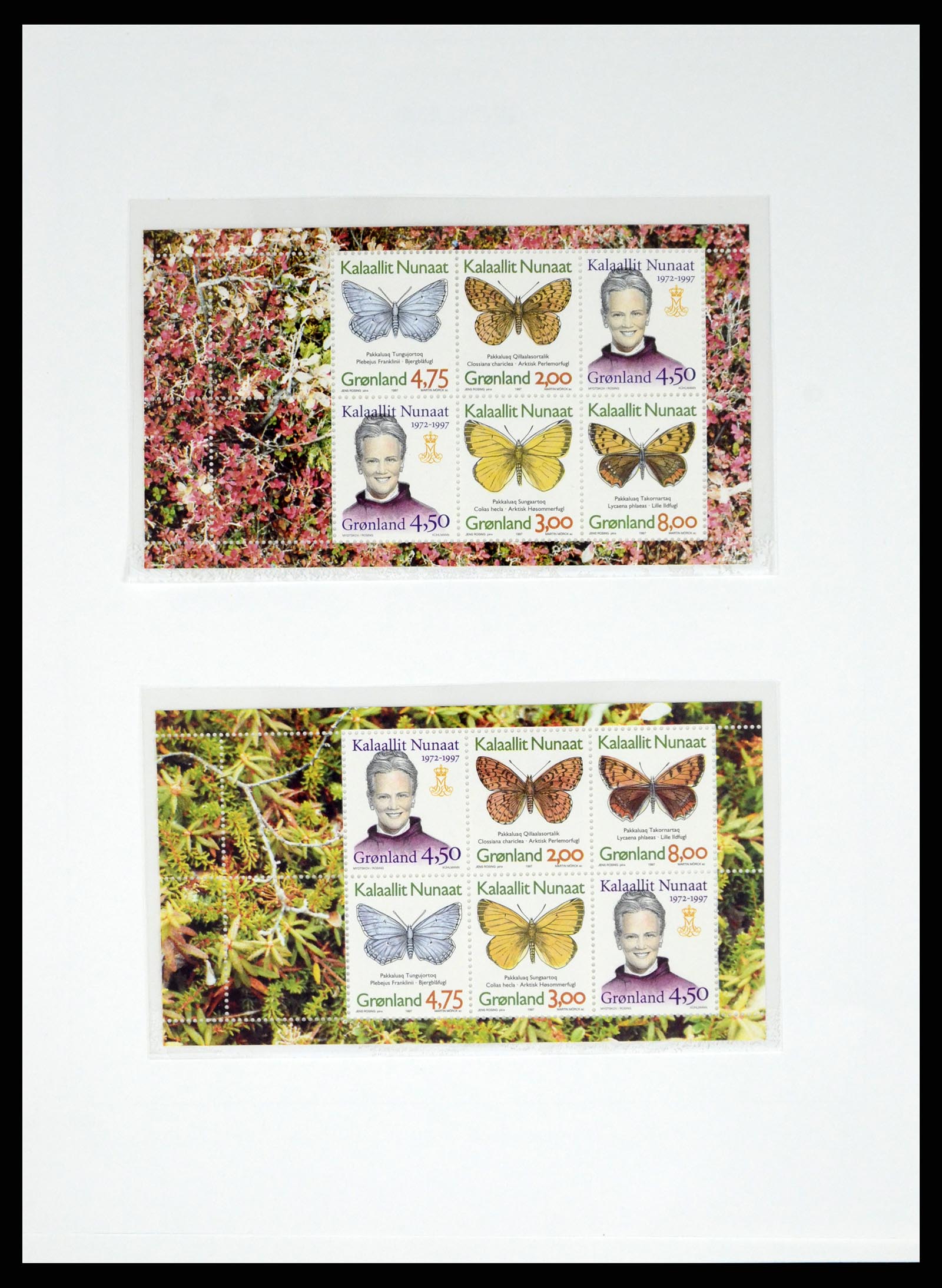 37829 049 - Postzegelverzameling 37829 Groenland 1905-2016.