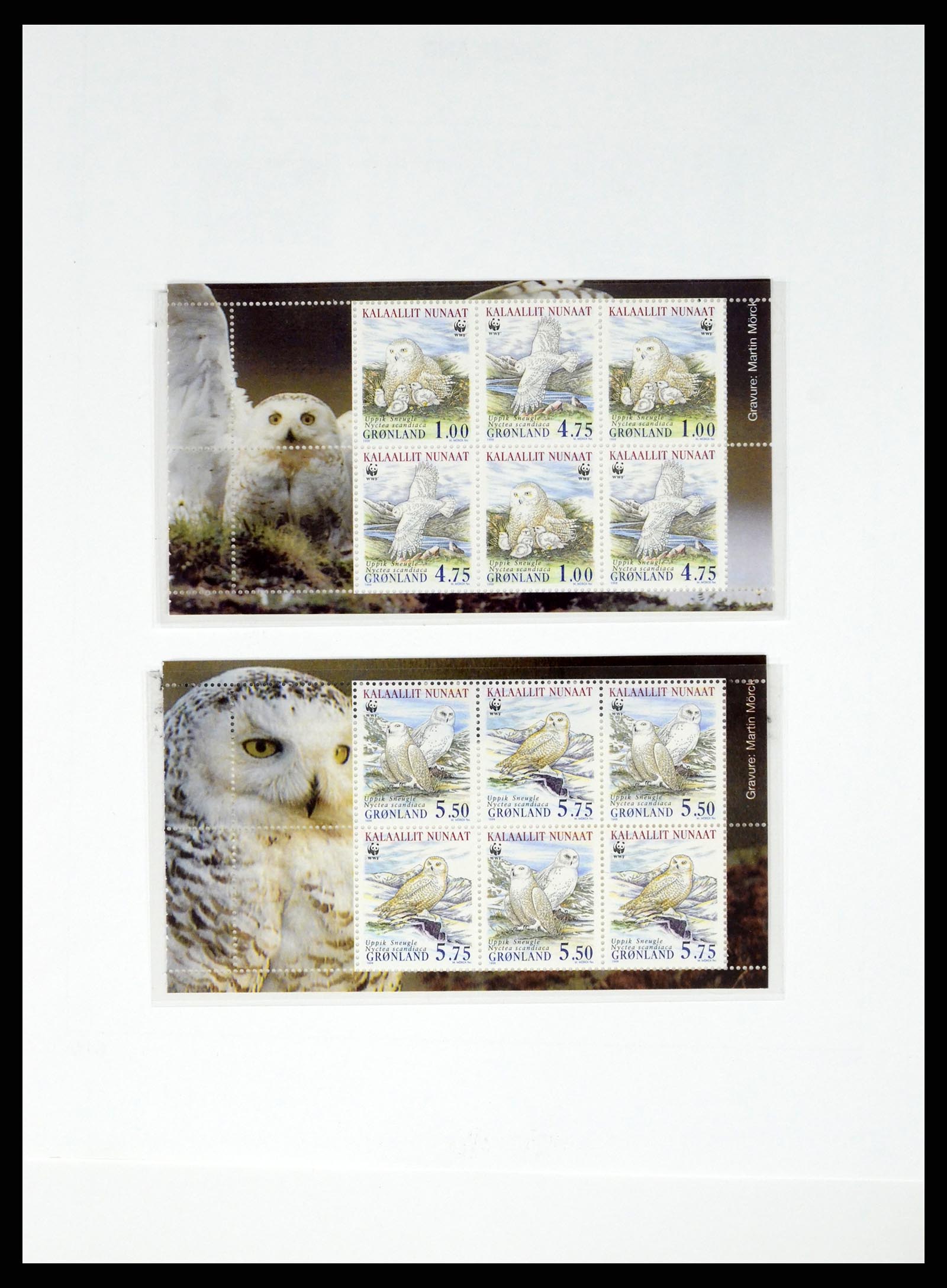 37829 060 - Stamp Collection 37829 Greenland 1905-2016.
