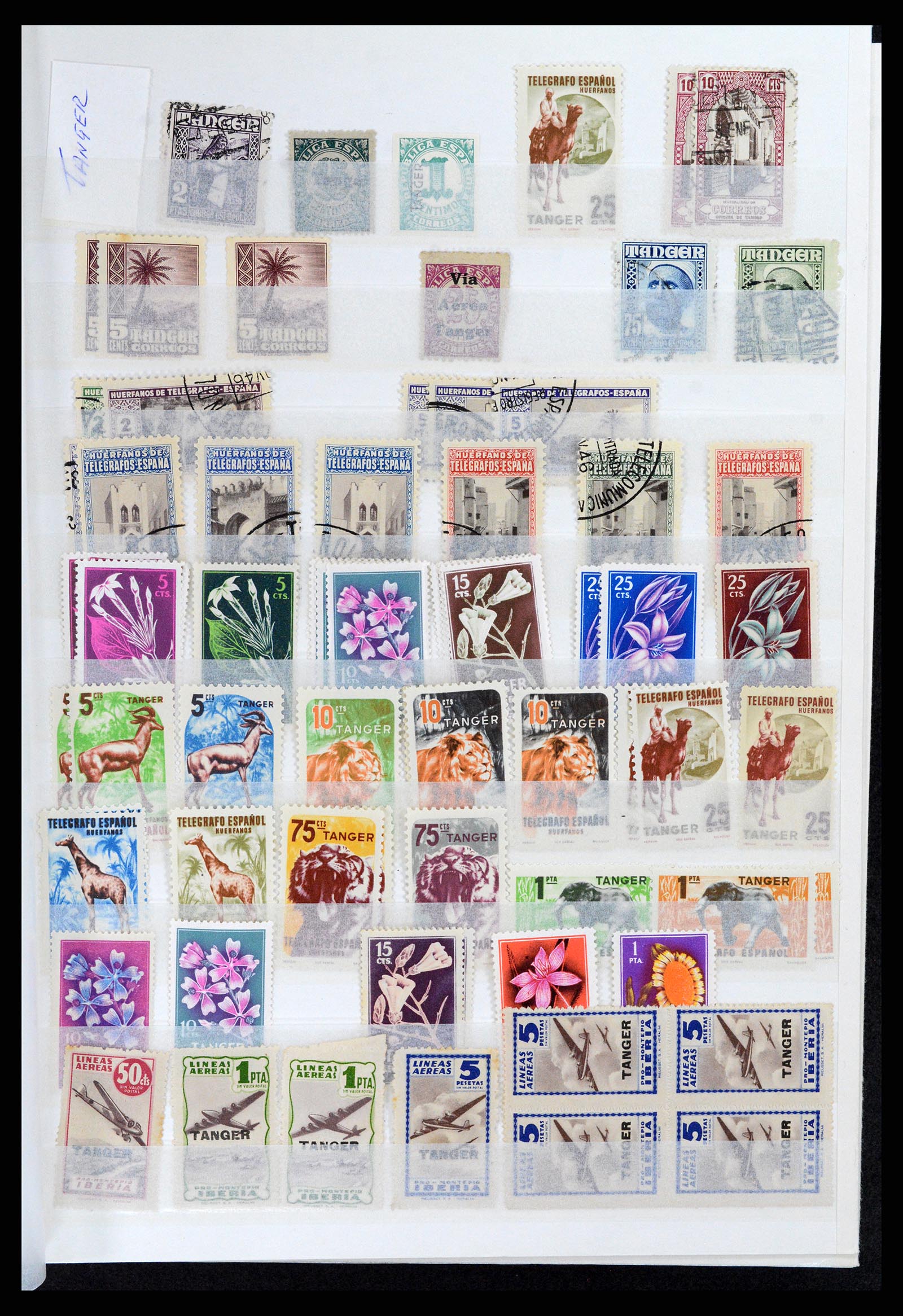 37857 001 - Postzegelverzameling 37857 Spaanse koloniën en burgeroorlog 1890-1960