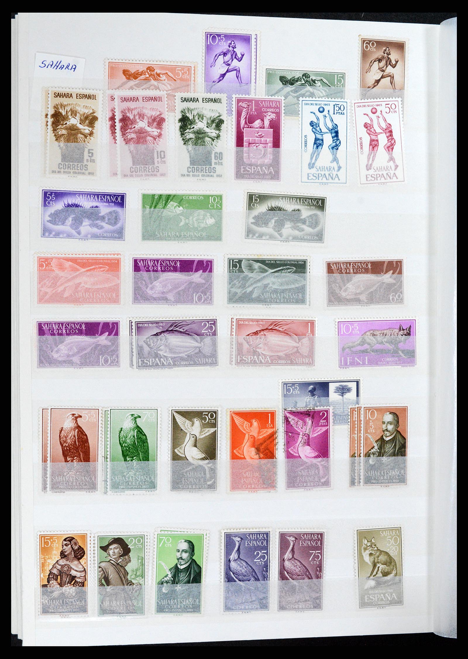 37857 036 - Postzegelverzameling 37857 Spaanse koloniën en burgeroorlog 1890-1960