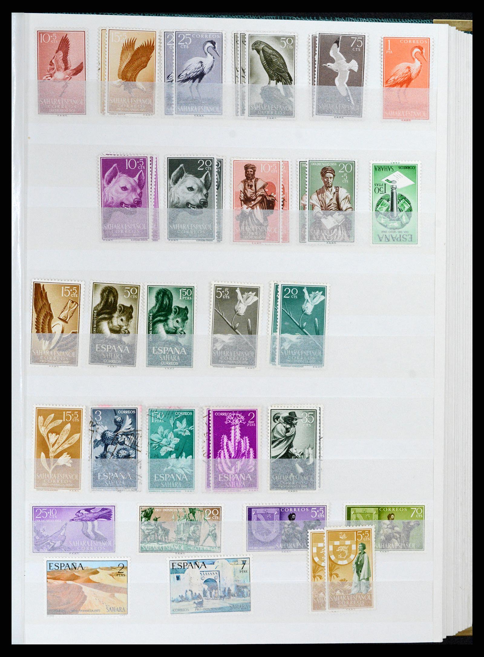 37857 037 - Postzegelverzameling 37857 Spaanse koloniën en burgeroorlog 1890-1960