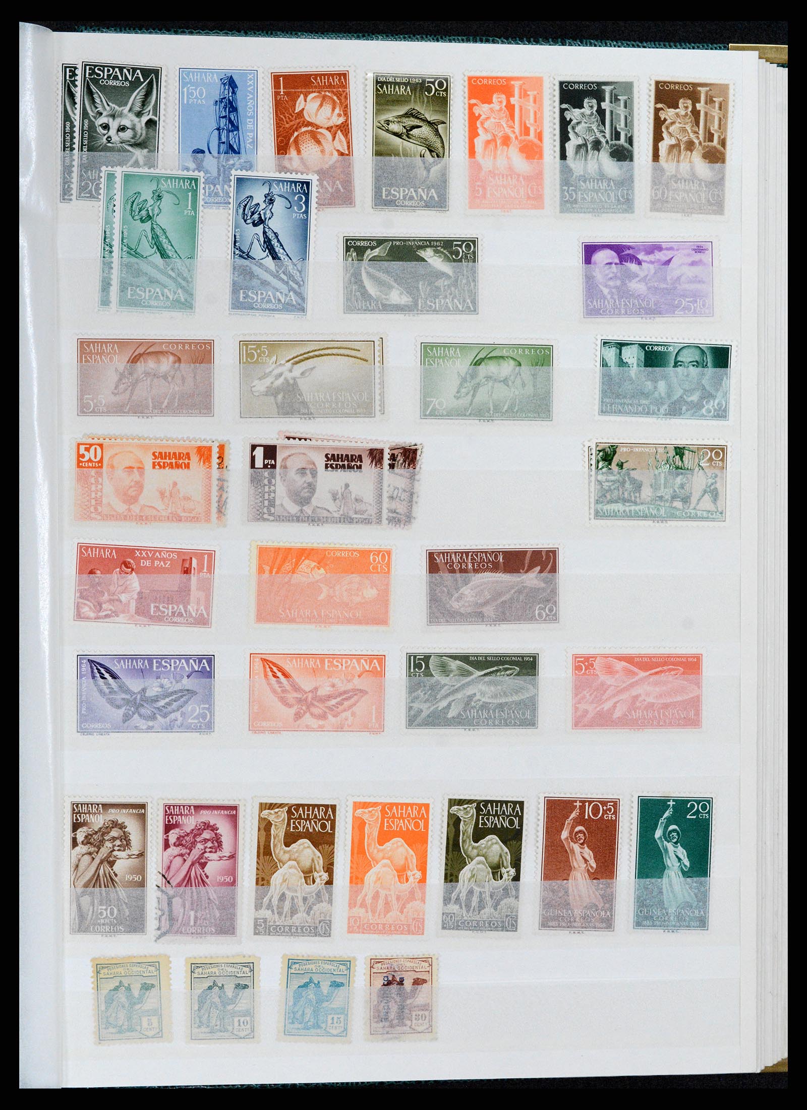 37857 041 - Postzegelverzameling 37857 Spaanse koloniën en burgeroorlog 1890-1960
