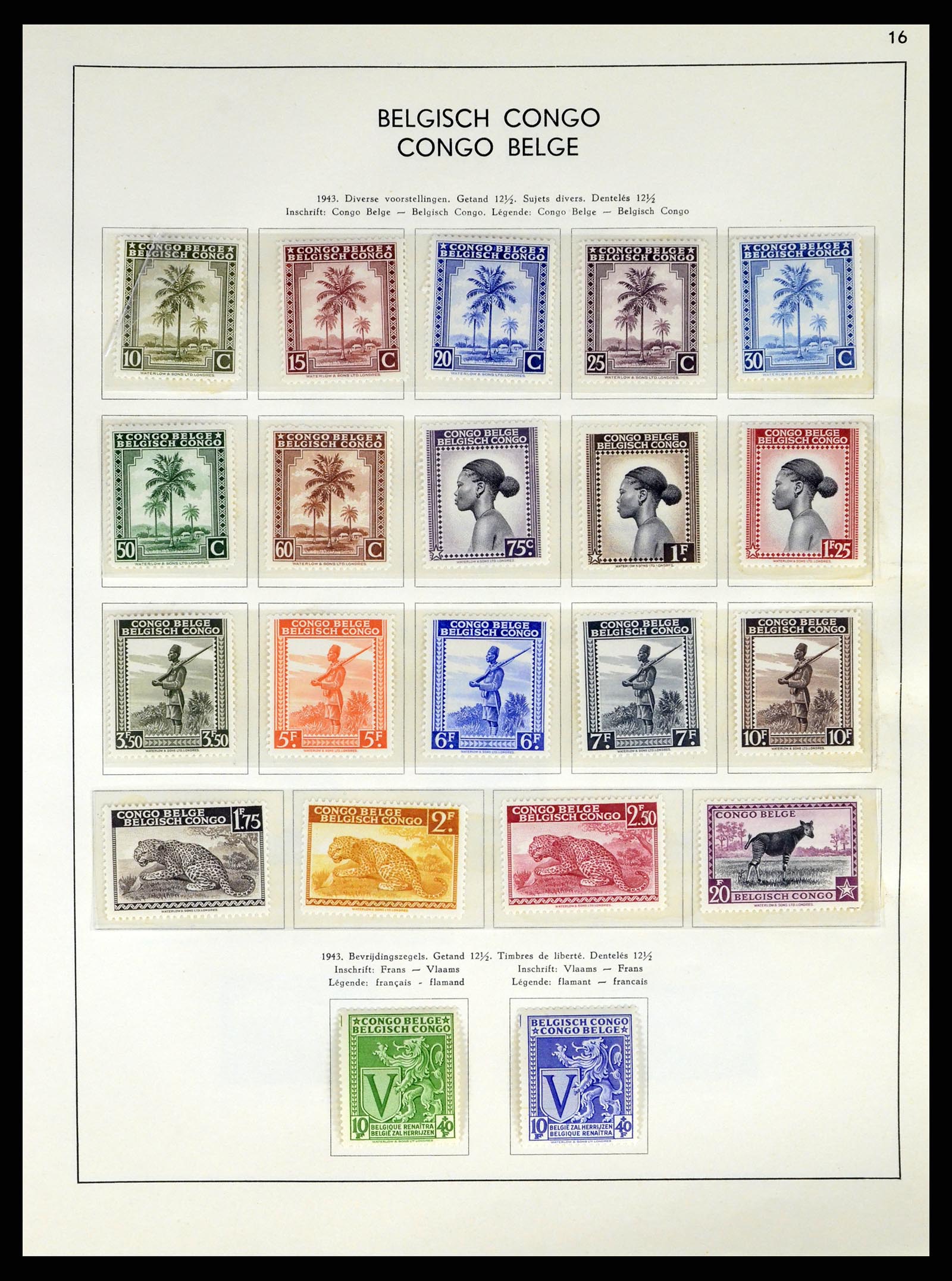 37959 171 - Stamp Collection 37959 Belgium and Belgian Congo 1849-1960.