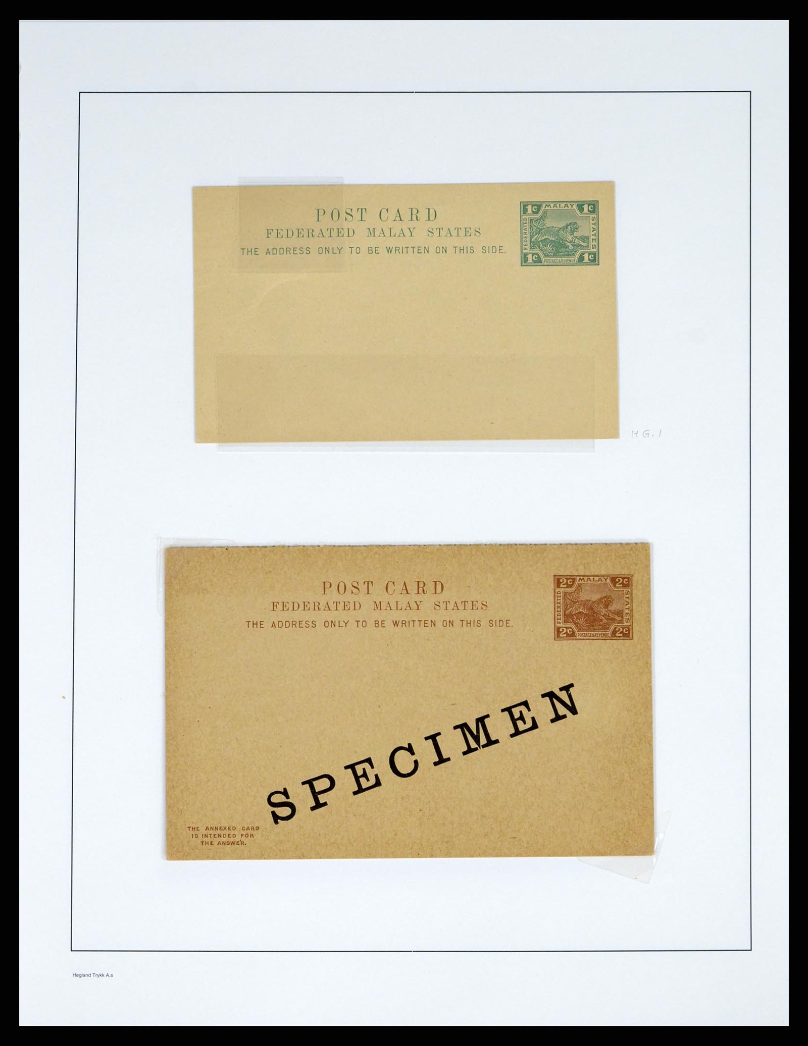 37971 020 - Postzegelverzameling 37971 Maleisië 1900-1920.