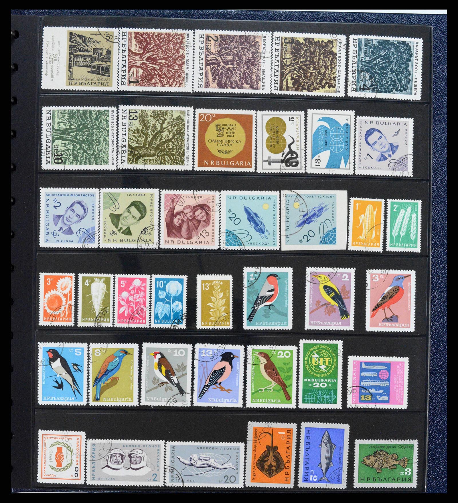 38122 0034 - Postzegelverzameling 38122 Bulgarije 1879-1980.
