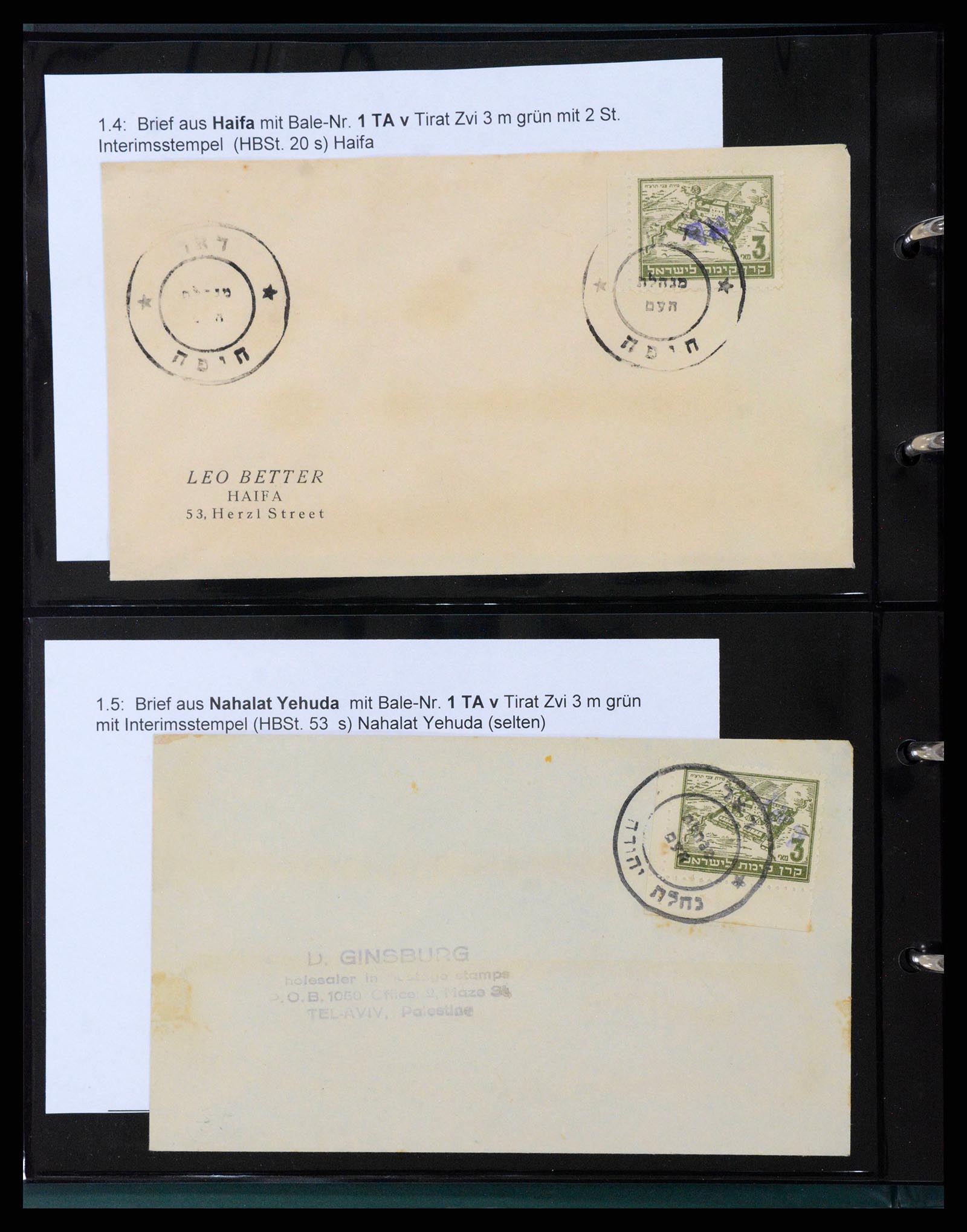 38180 0009 - Stamp collection 38180 Israel interim.