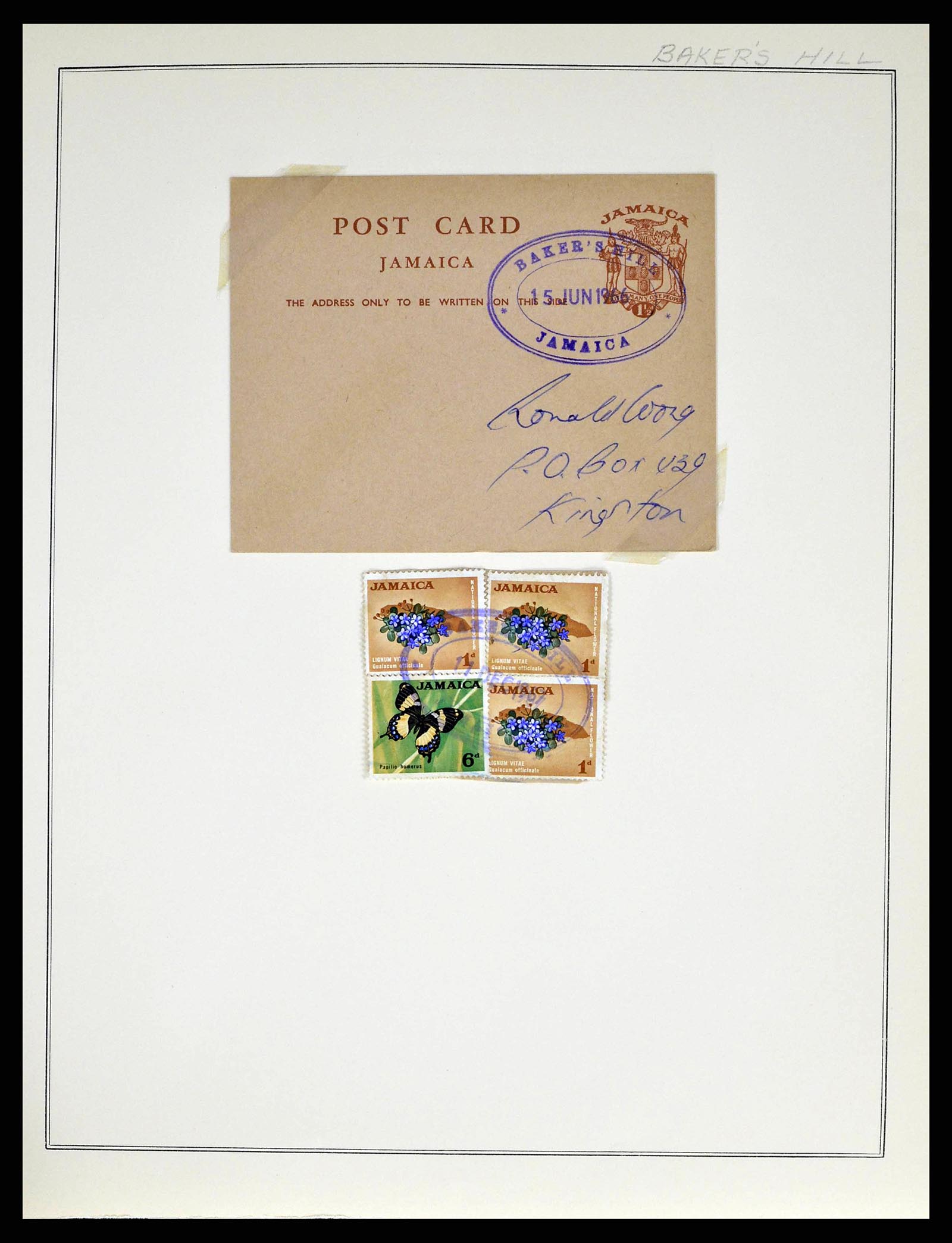38218 0042 - Stamp collection 38218 Jamaica cancels 1900-1965.