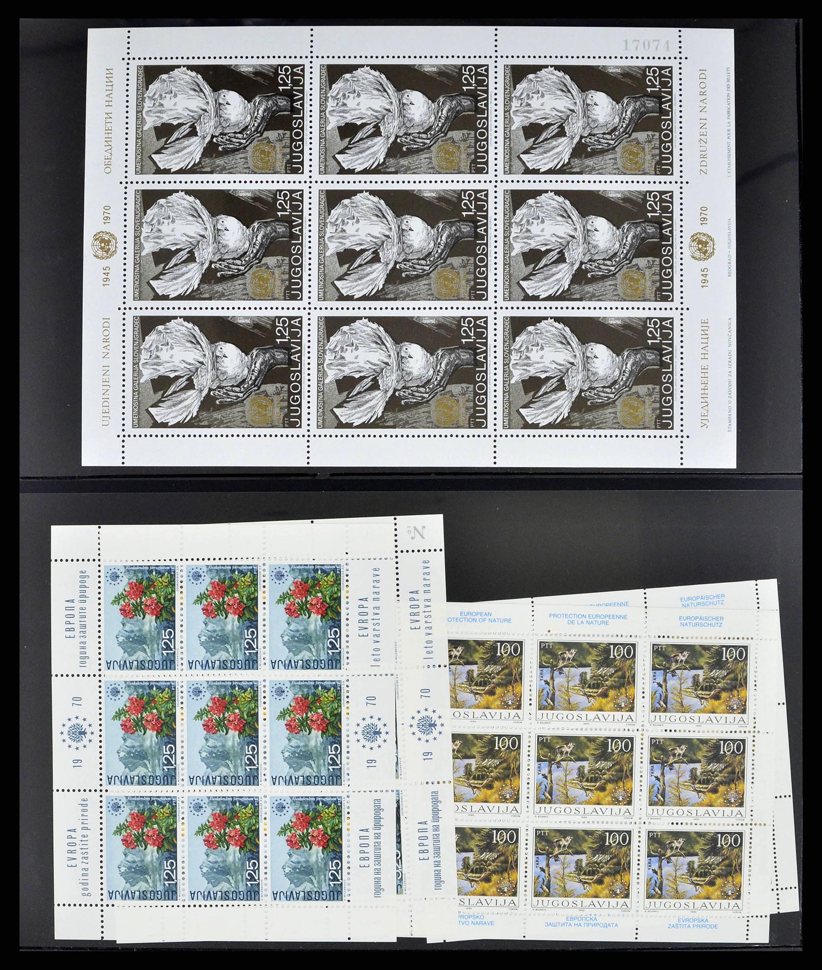 38242 0017 - Postzegelverzameling 38242 Europese landen postfris 1937-2002.