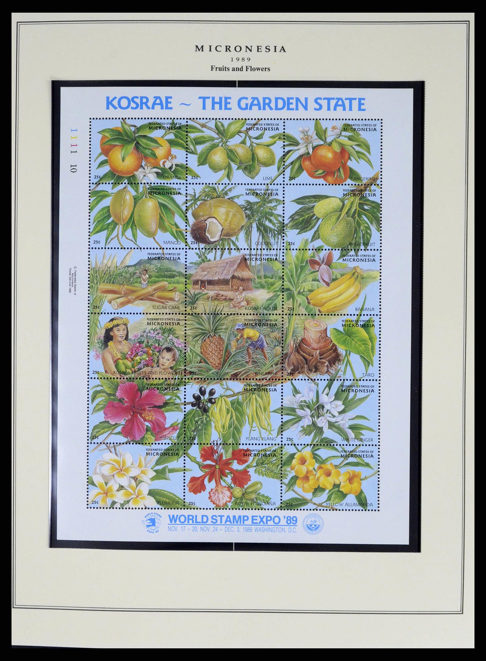 38341 0015 - Postzegelverzameling 38341 Micronesië 1983-2016!