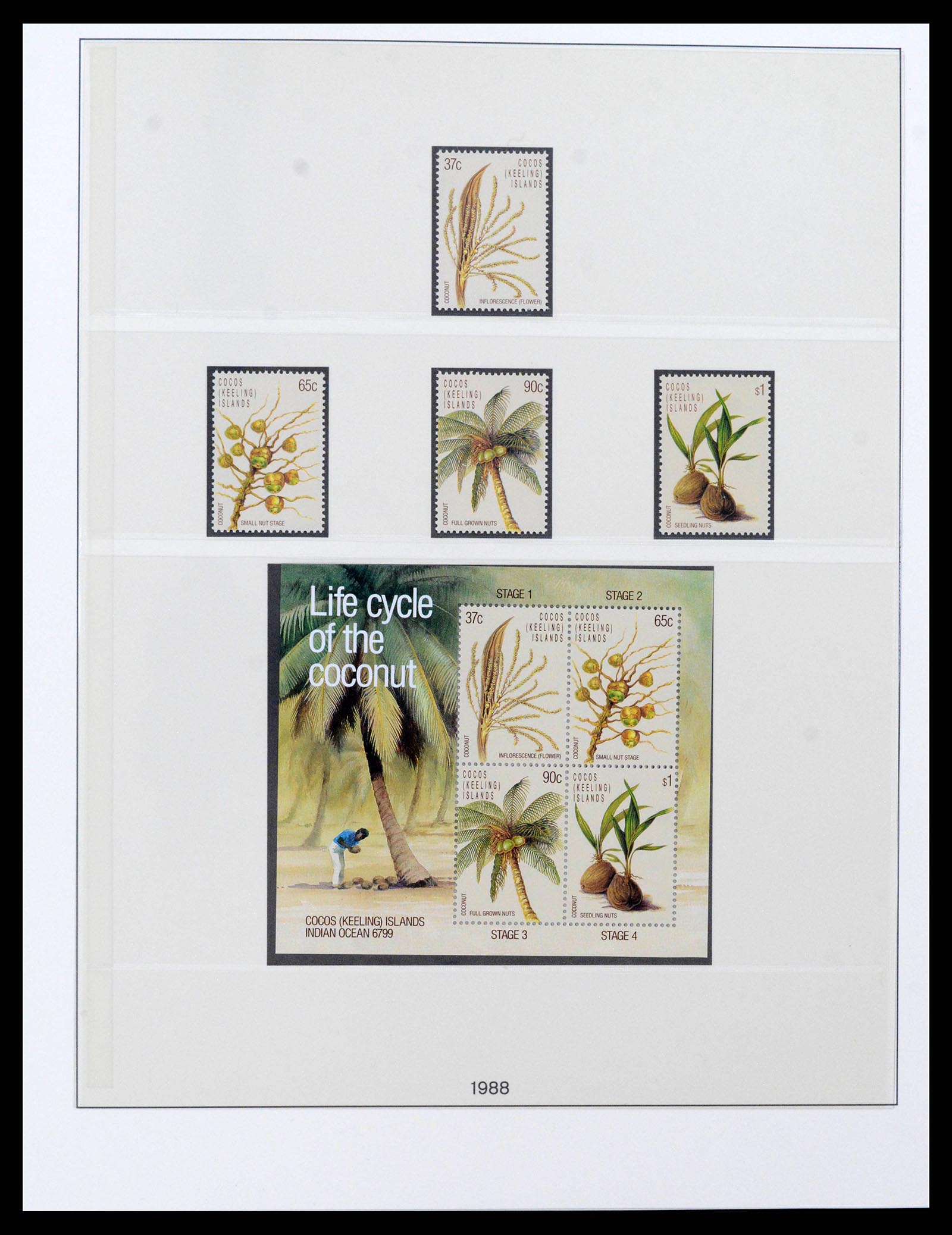 38347 0019 - Stamp collection 38347 Cocos Island complete 1963-2017!!