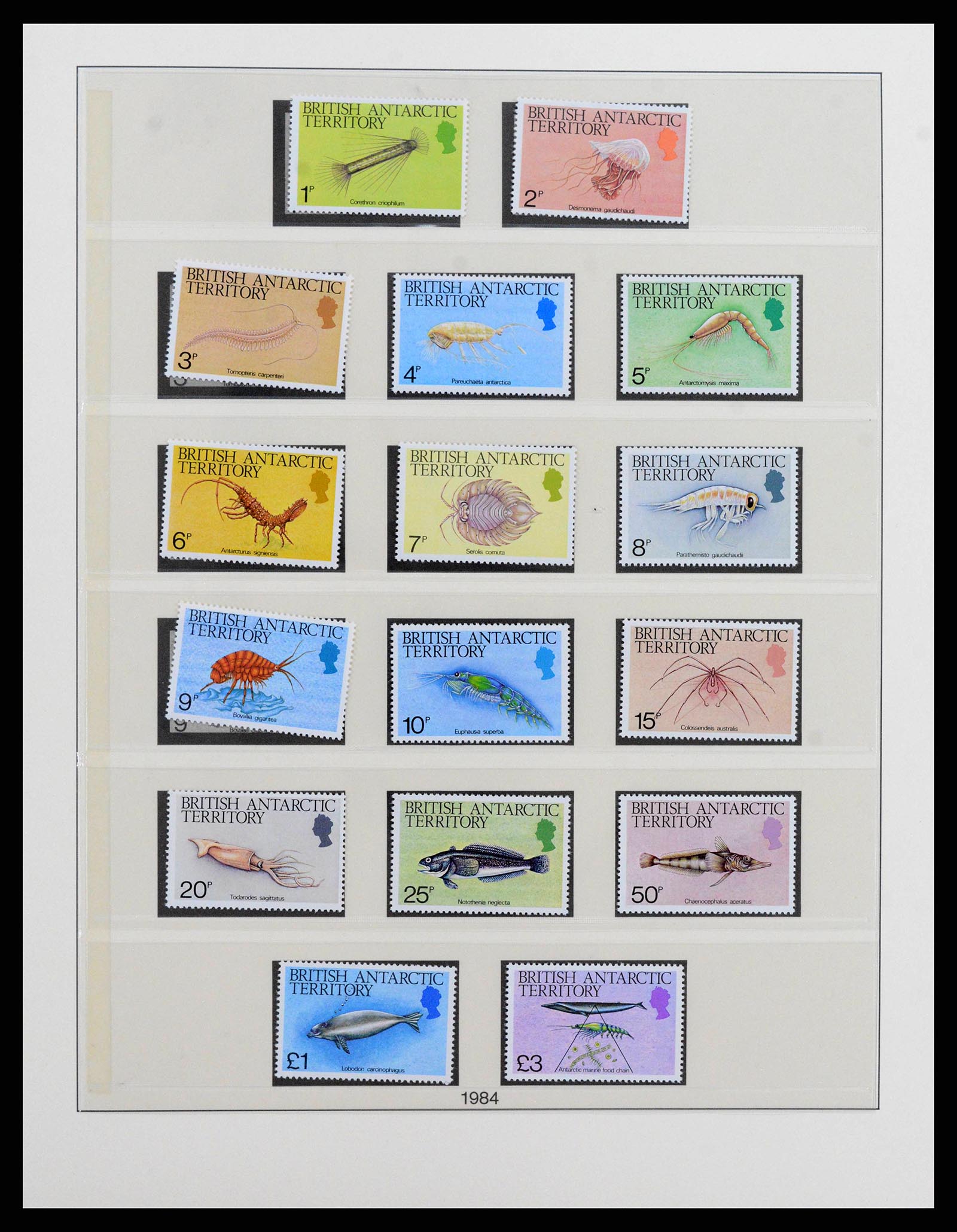 38349 0011 - Stamp collection 38349 British Antarctic Territory complete 1963-2017!!