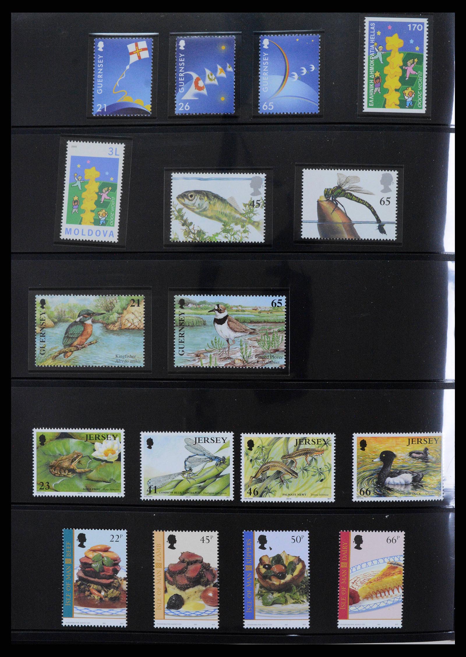 38373 0584 - Postzegelverzameling 38373 Europa Cept compleet 1956-2005.
