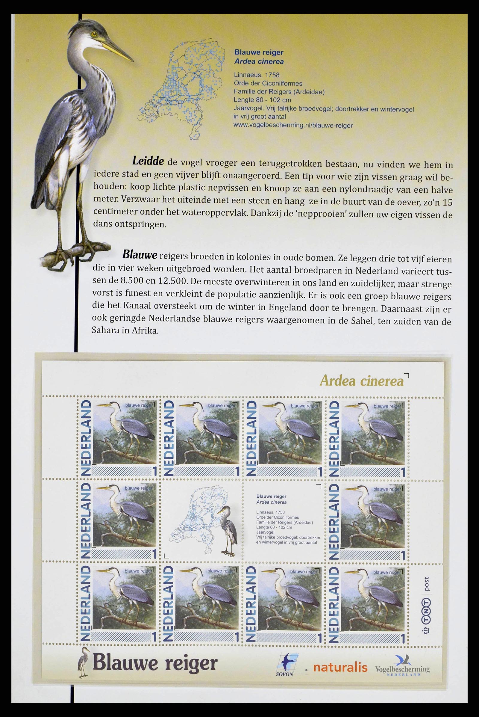 38383 0004 - Postzegelverzameling 38383 Nederland vogels in Nederland.