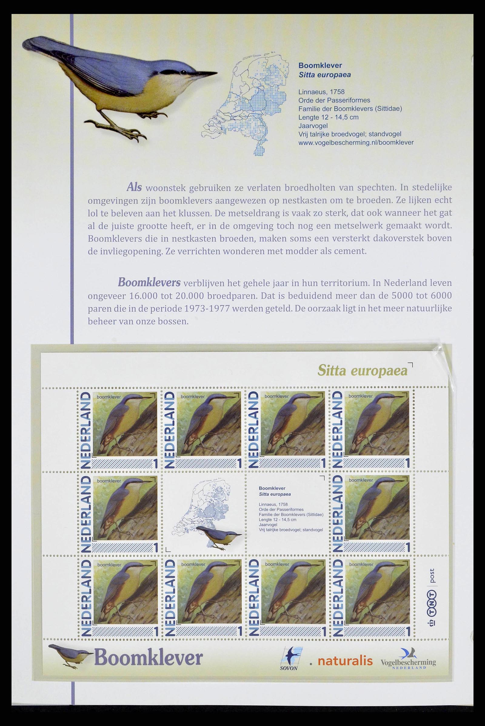 38383 0006 - Postzegelverzameling 38383 Nederland vogels in Nederland.