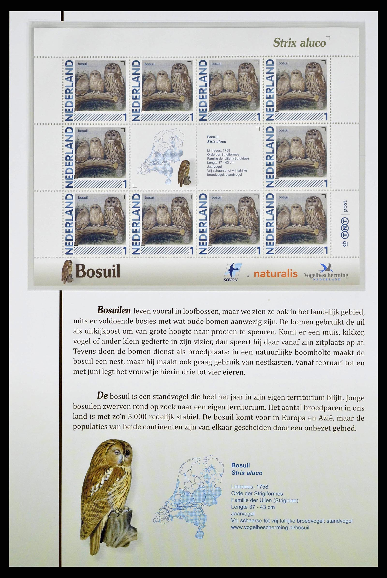 38383 0007 - Postzegelverzameling 38383 Nederland vogels in Nederland.