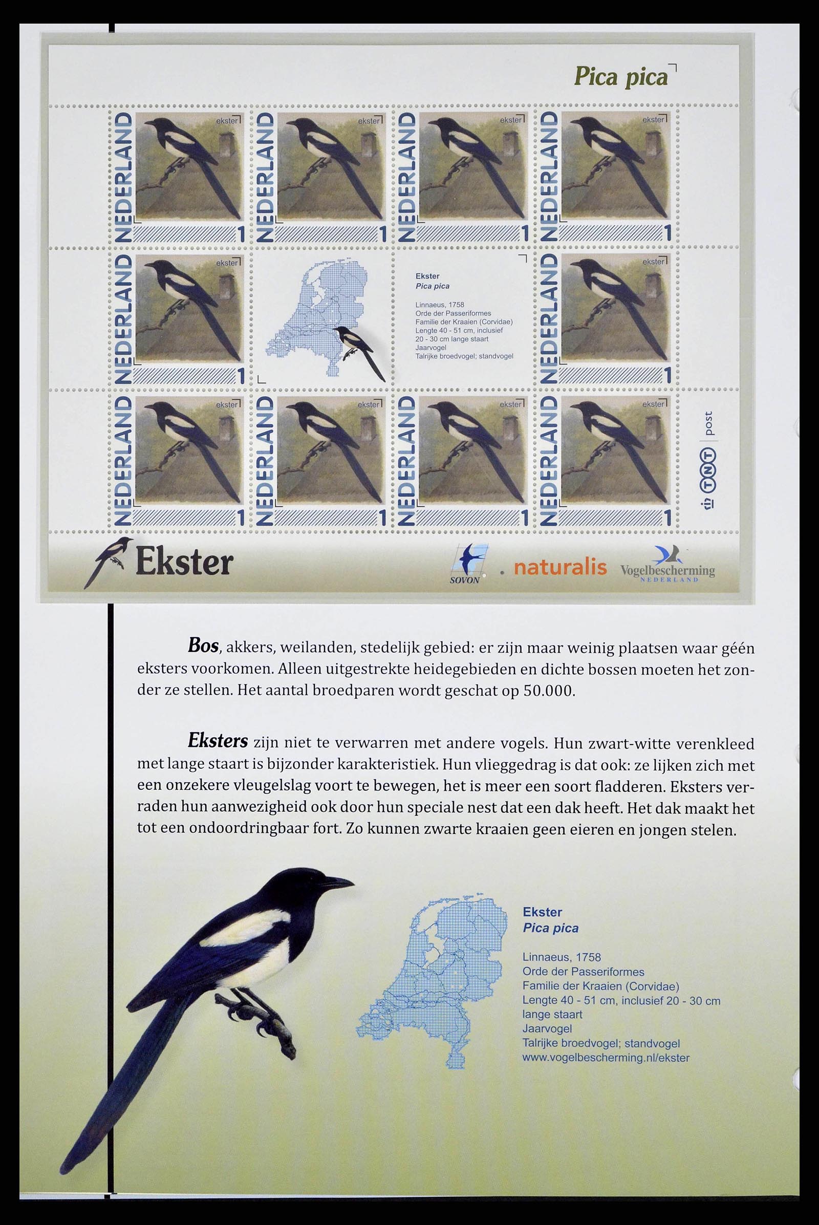 38383 0010 - Postzegelverzameling 38383 Nederland vogels in Nederland.