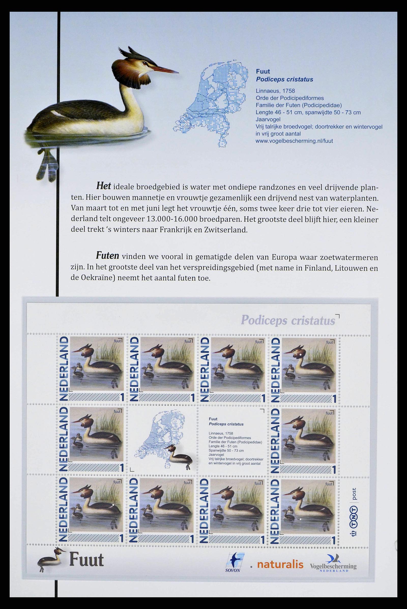 38383 0012 - Postzegelverzameling 38383 Nederland vogels in Nederland.