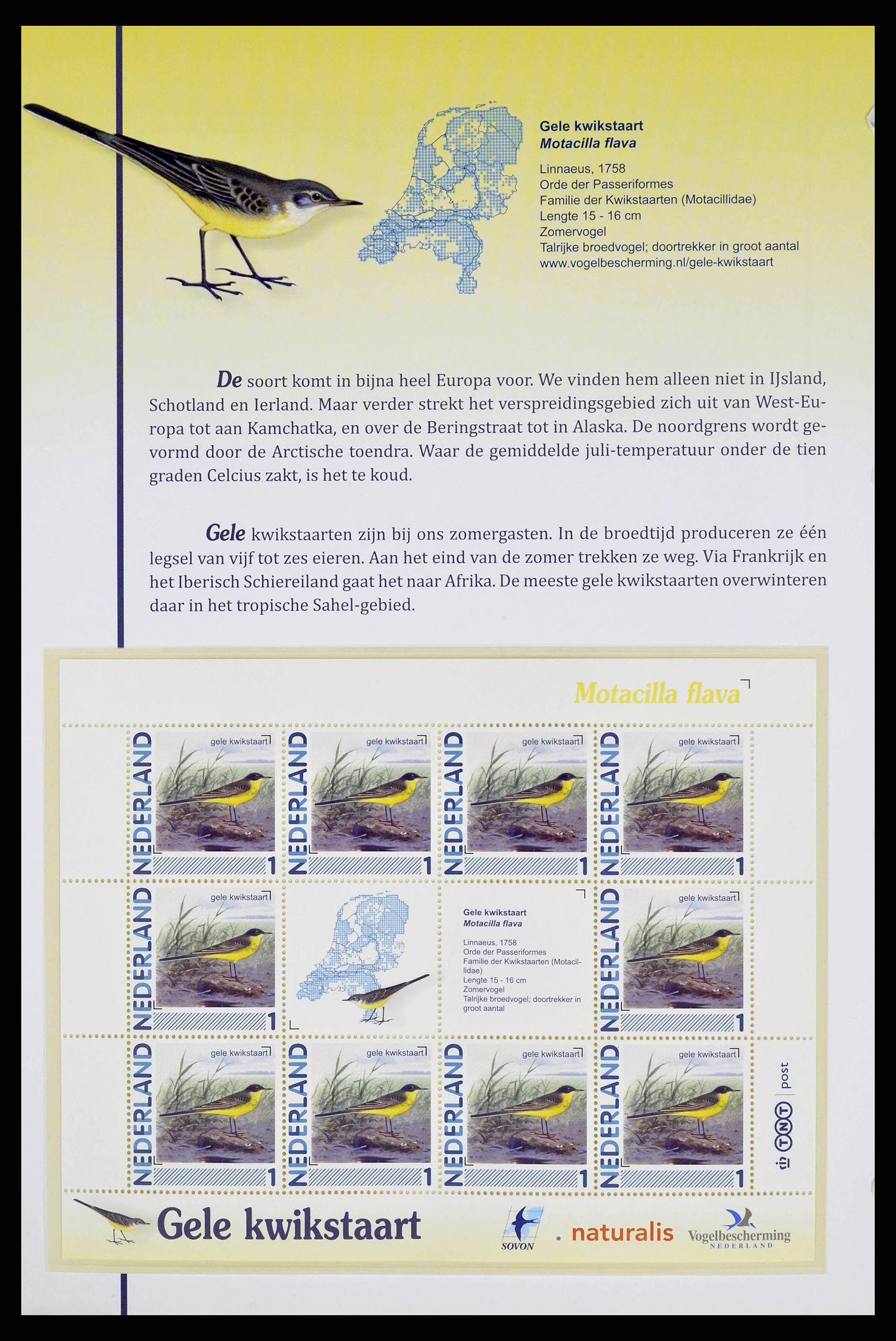 38383 0015 - Postzegelverzameling 38383 Nederland vogels in Nederland.