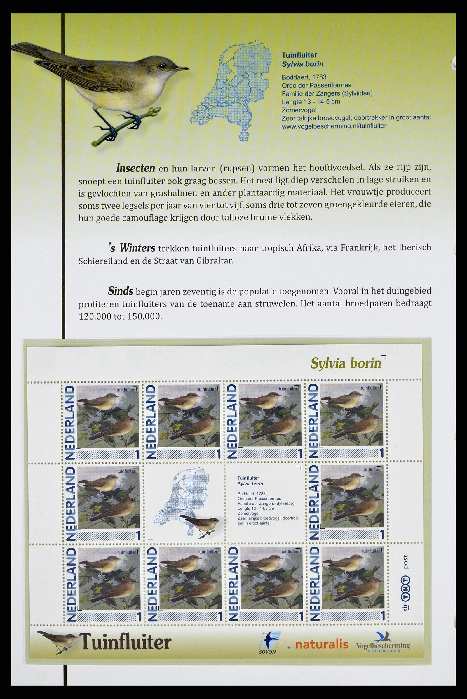 38383 0016 - Postzegelverzameling 38383 Nederland vogels in Nederland.