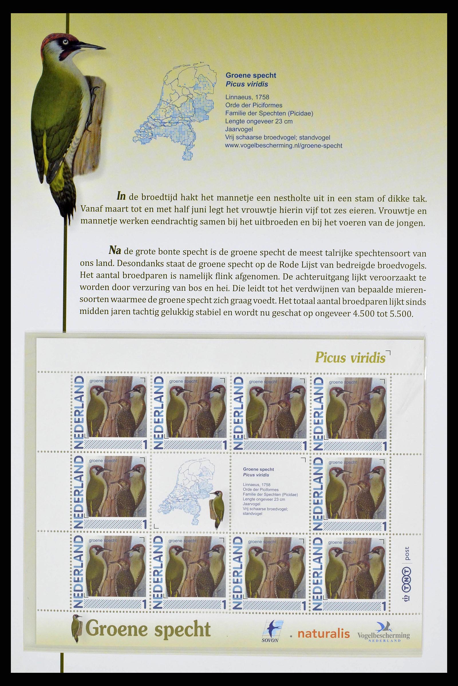 38383 0017 - Postzegelverzameling 38383 Nederland vogels in Nederland.