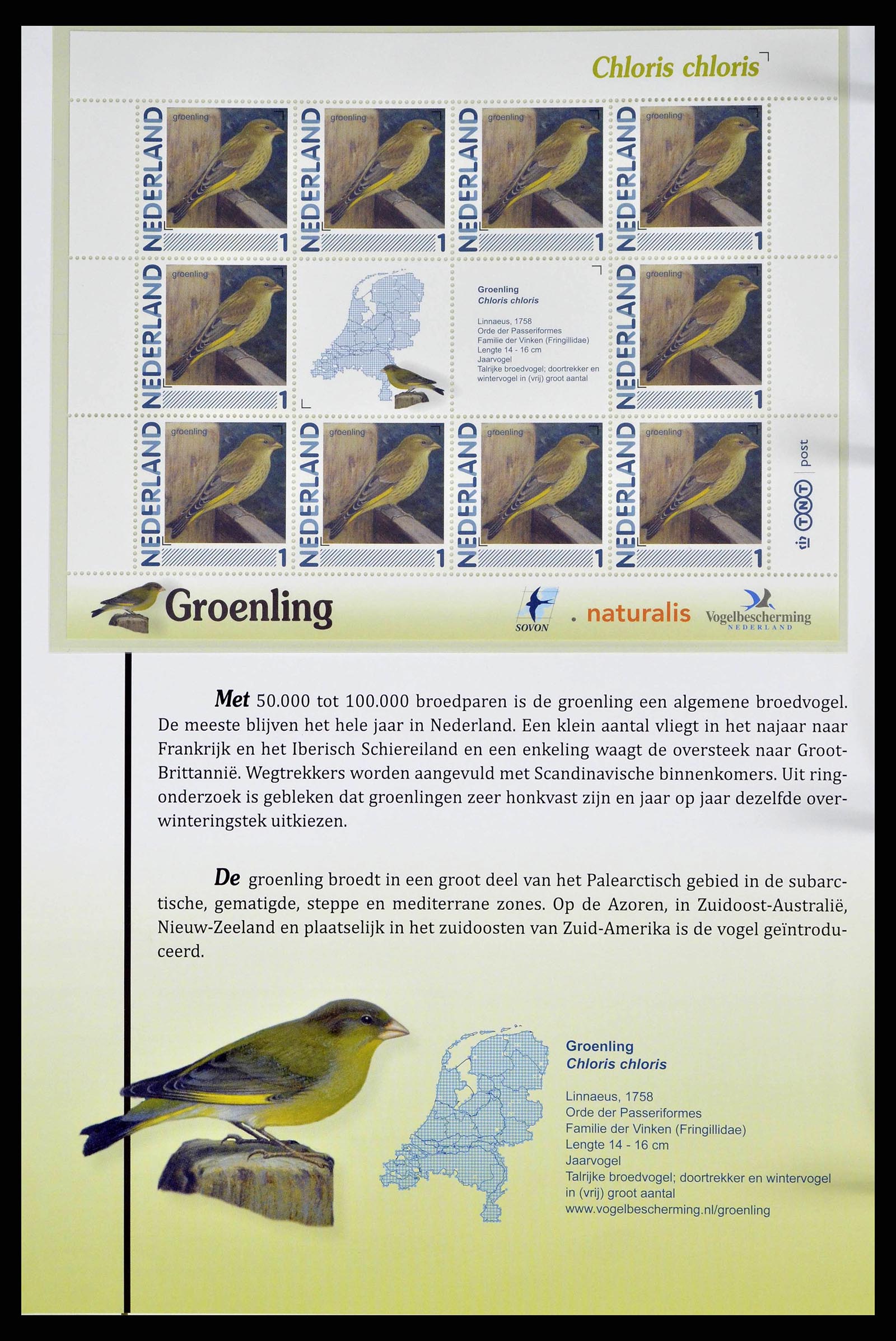 38383 0018 - Postzegelverzameling 38383 Nederland vogels in Nederland.