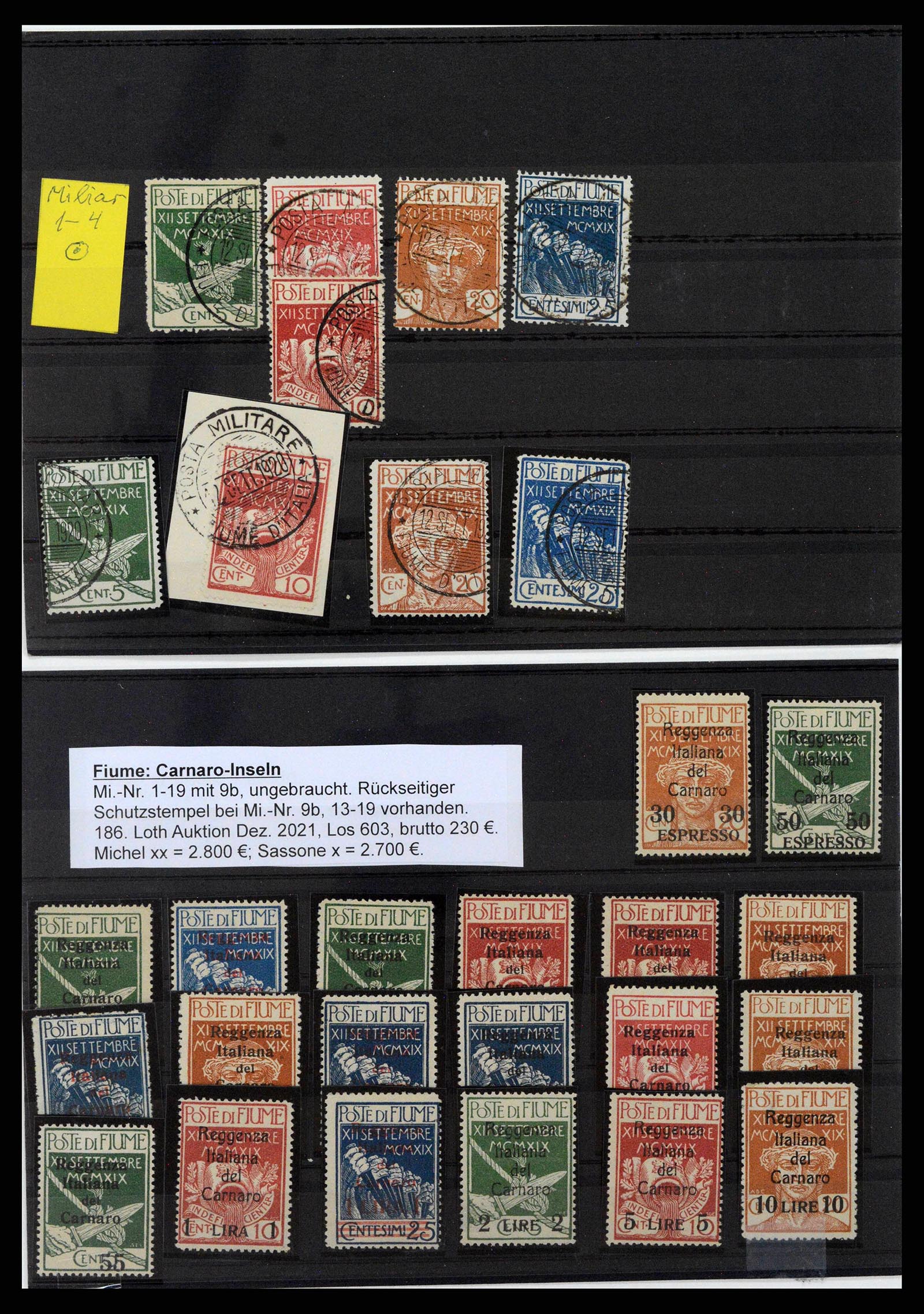 38507 0002 - Postzegelverzameling 38507 Fiume 1920-1924.