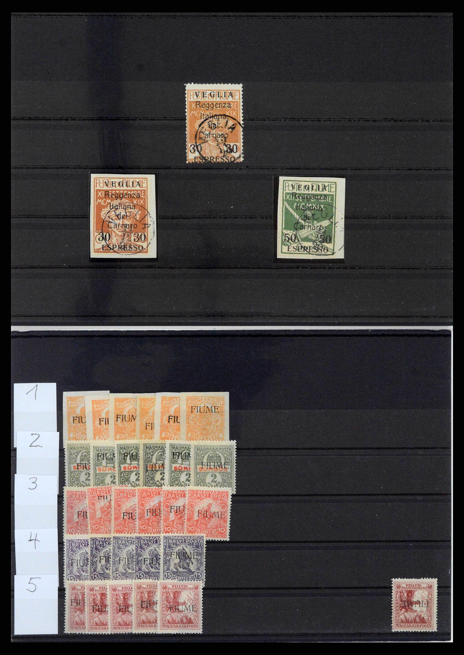 38507 0029 - Stamp collection 38507 Fiume 1920-1924.