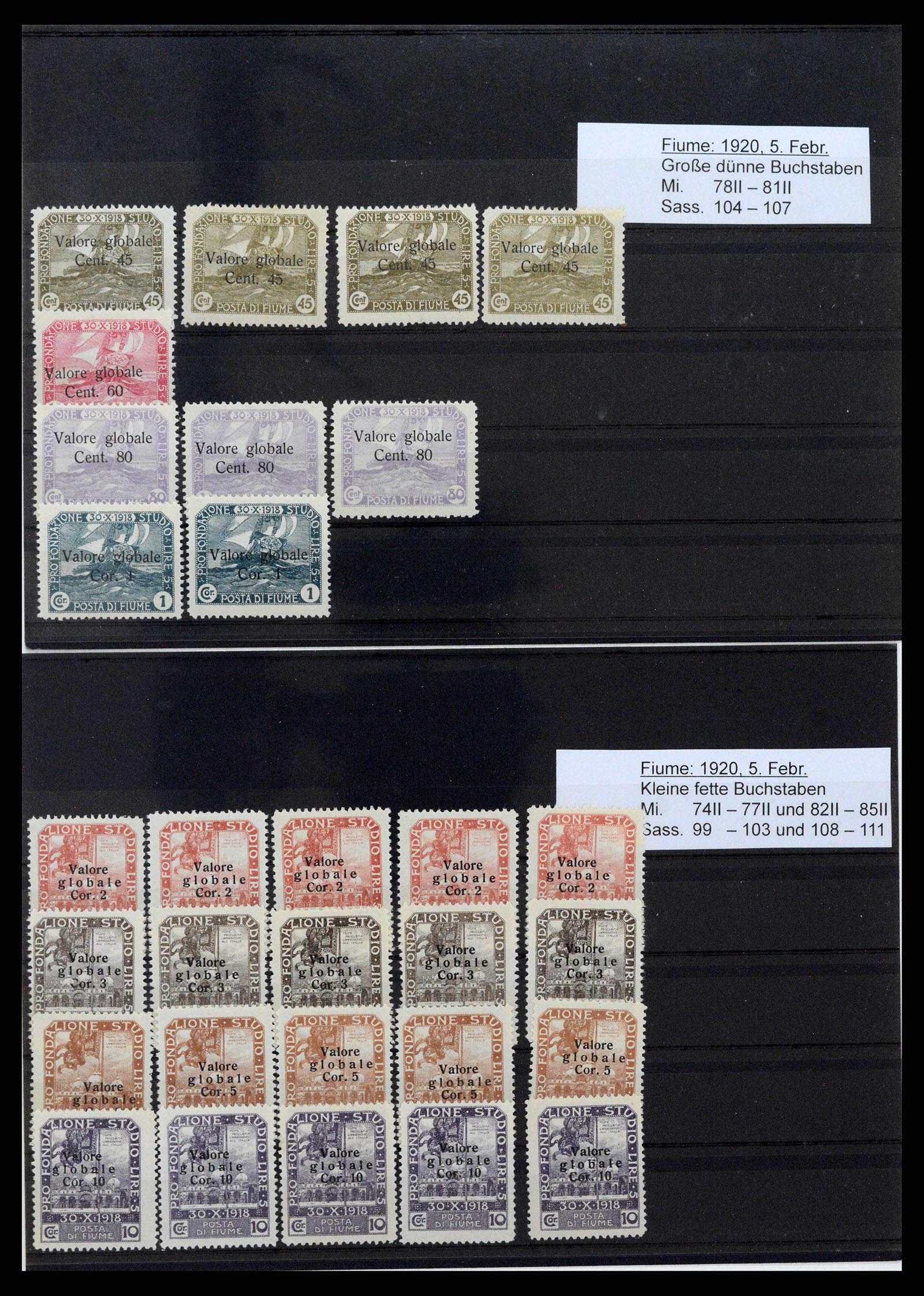 38507 0048 - Stamp collection 38507 Fiume 1920-1924.