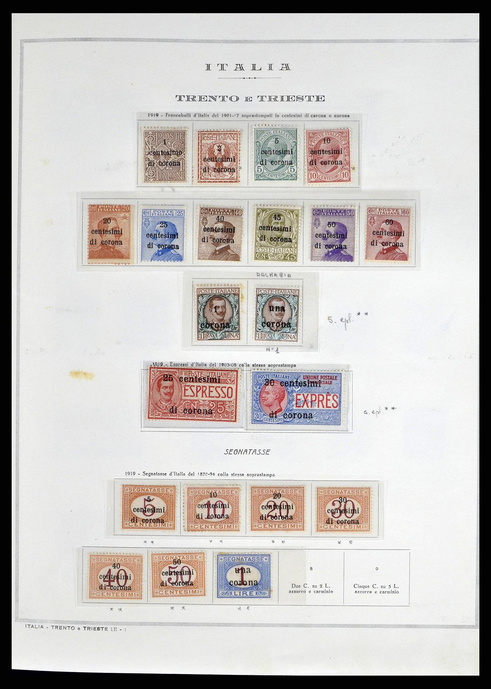 38619 0009 - Postzegelverzameling 38619 Italiaanse gebieden en bezettingen 1918-19