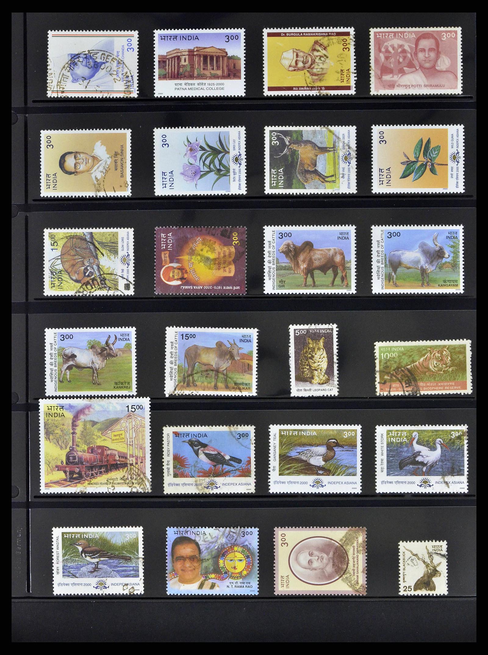 38642 0074 - Stamp collection 38642 India 1949-2012.