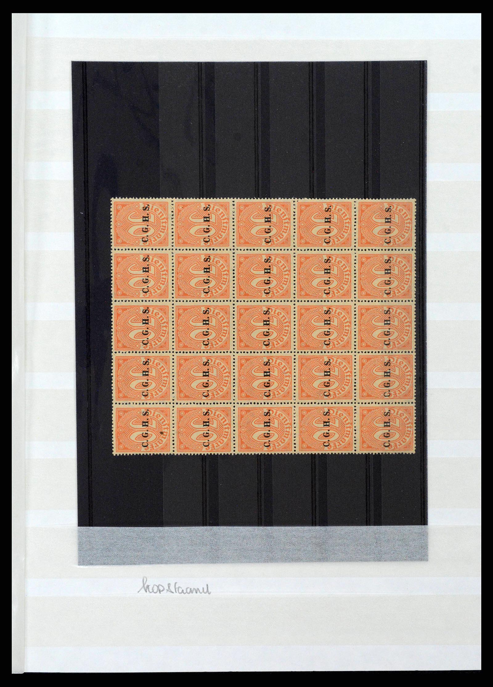 38684 0019 - Postzegelverzameling 38684 Opper-Silezië dienst 1920.