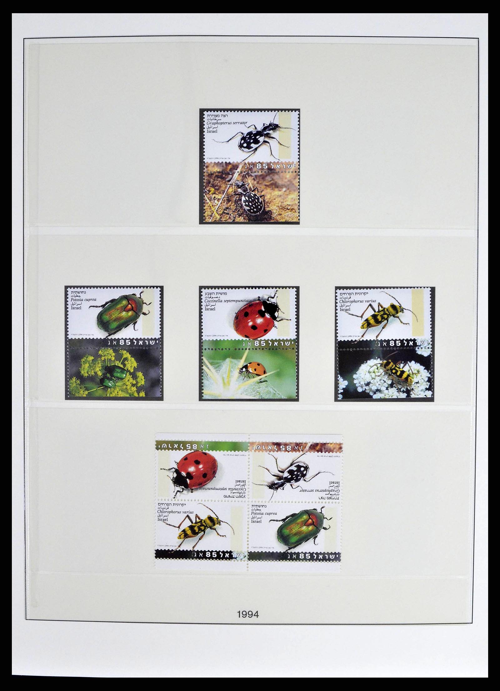38751 0019 - Postzegelverzameling 38751 Israël en Palestina 1991-2006.