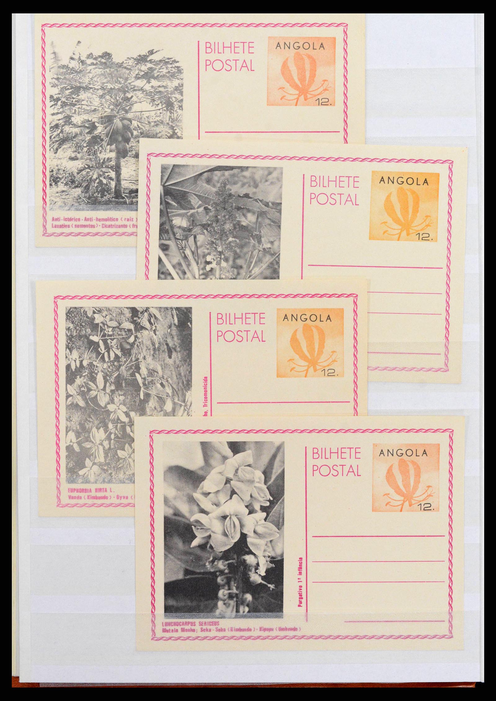 38753 0008 - Postzegelverzameling 38753 Angola 1976-2014.