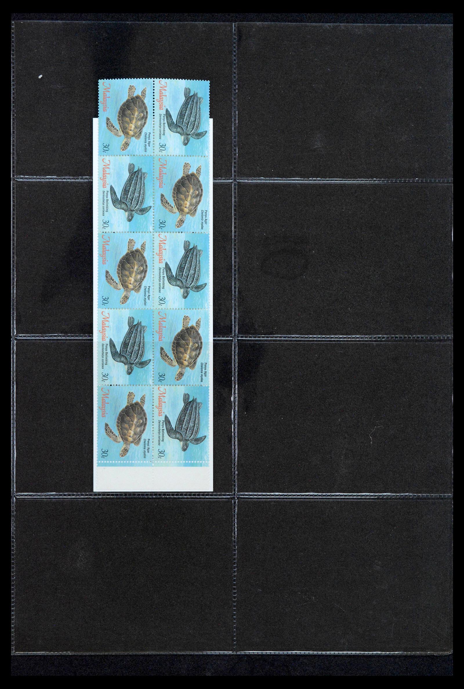 38761 0055 - Postzegelverzameling 38761 Wereld postzegelboekjes.