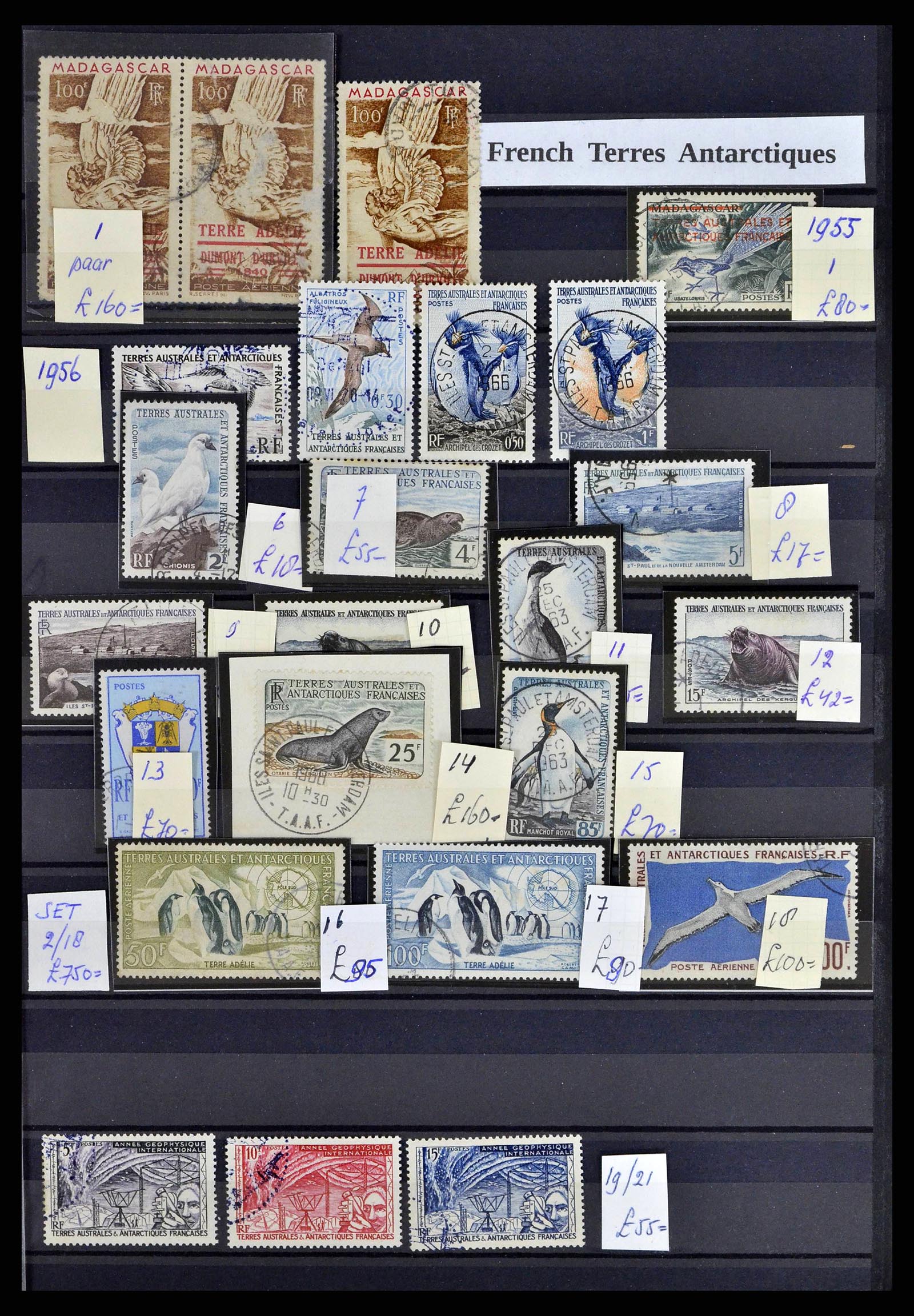 38776 0001 - Postzegelverzameling 38776 Frans Antarctica 1948-2011.