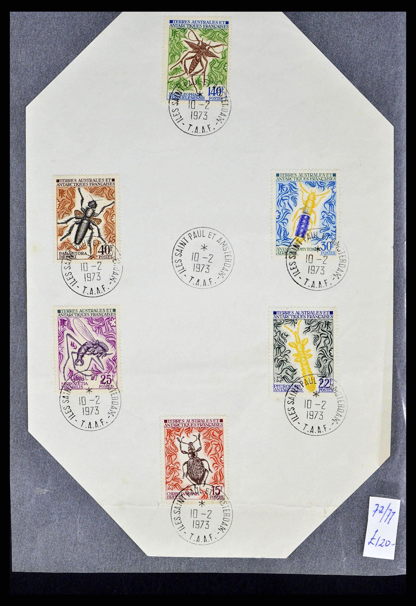 38776 0005 - Postzegelverzameling 38776 Frans Antarctica 1948-2011.