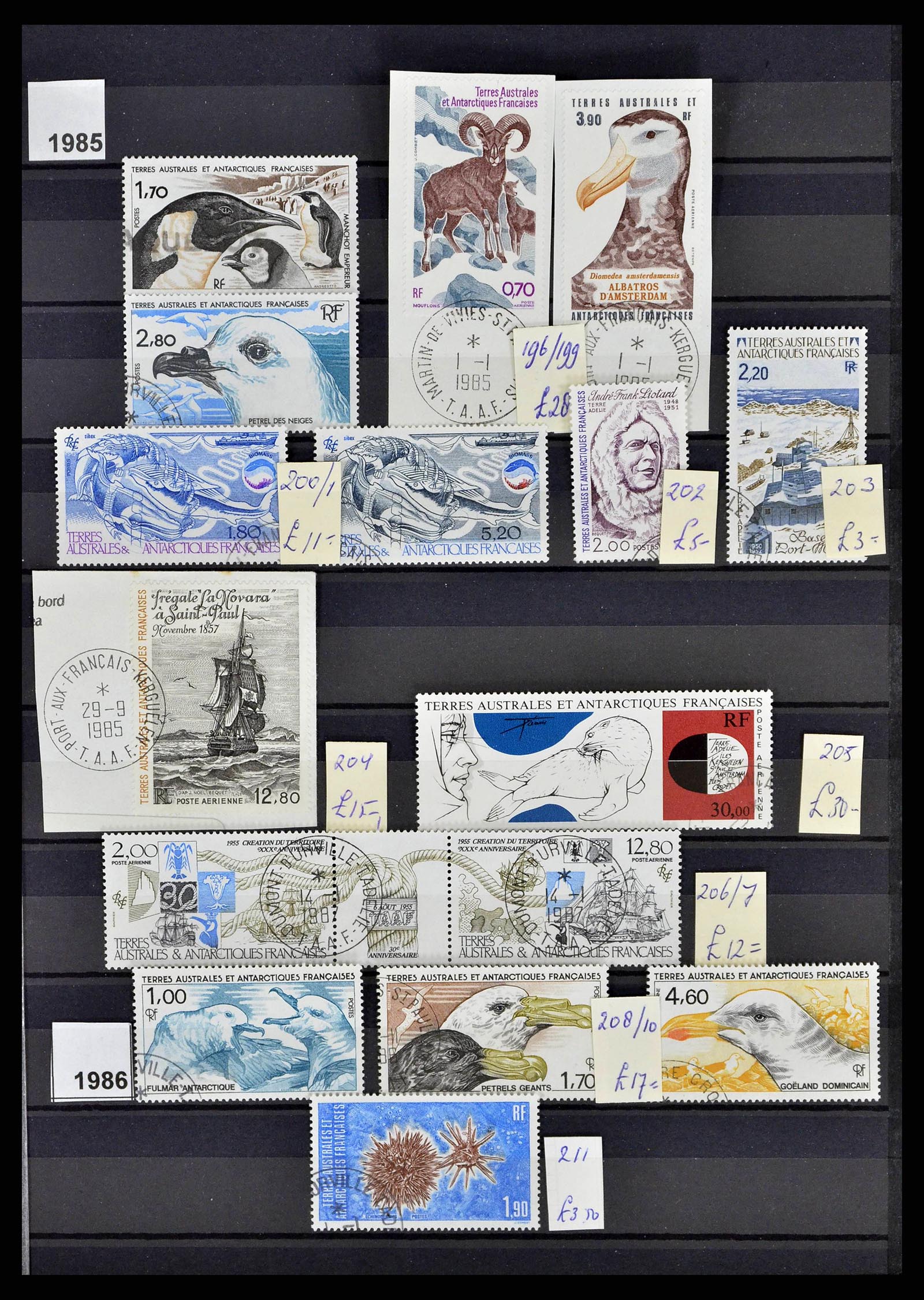 38776 0016 - Stamp collection 38776 French Antarctica 1948-2011.