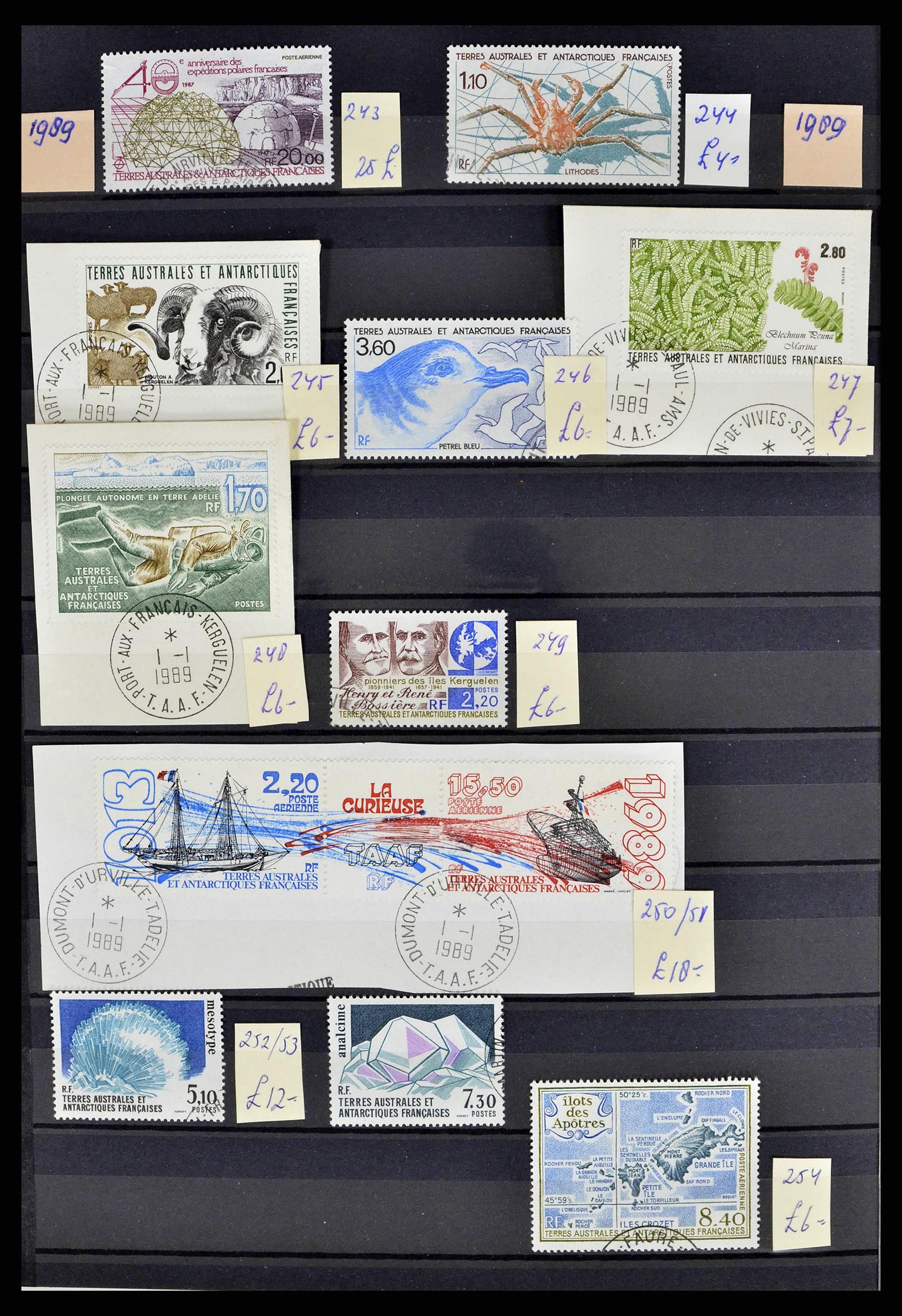 38776 0019 - Postzegelverzameling 38776 Frans Antarctica 1948-2011.